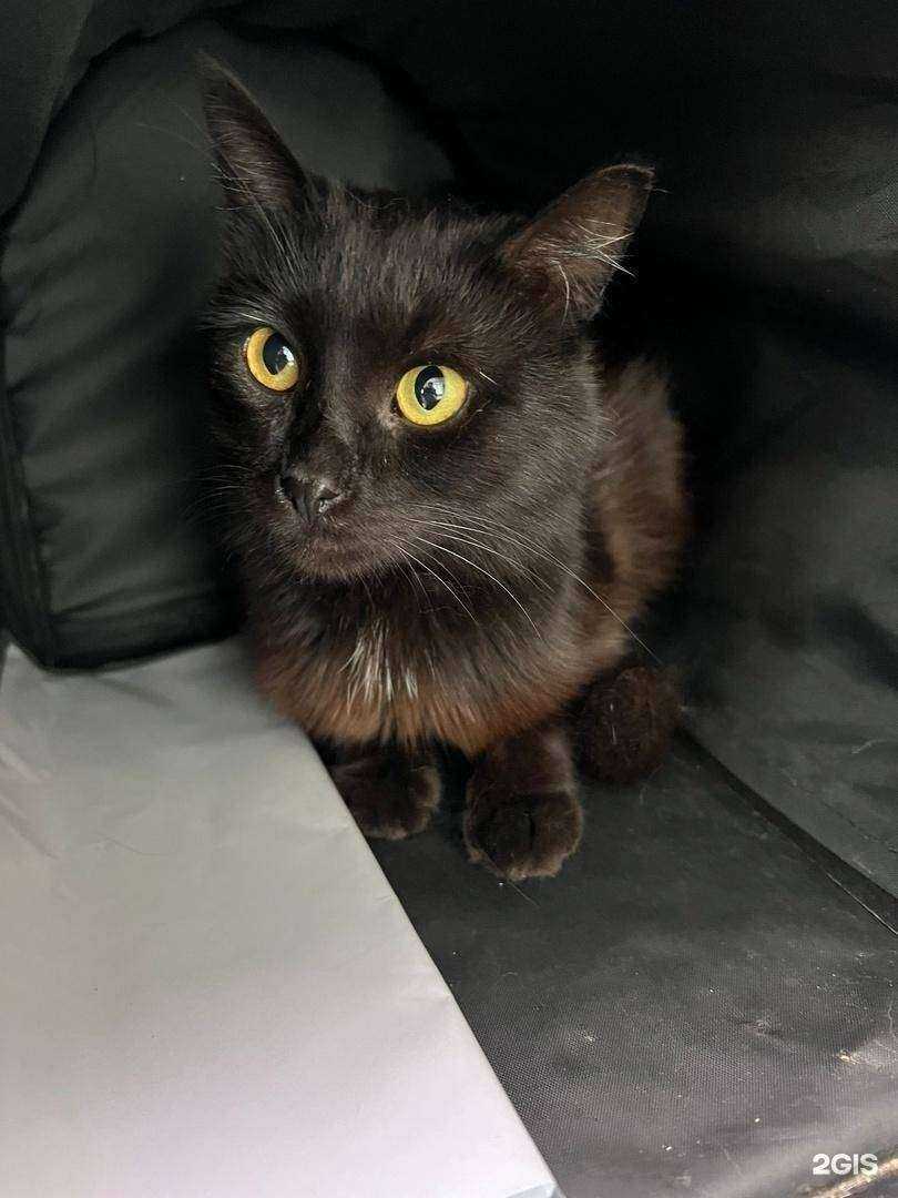 Отзывы на компанию Самарская областная ветеринарная лаборатория в Самаре c фото