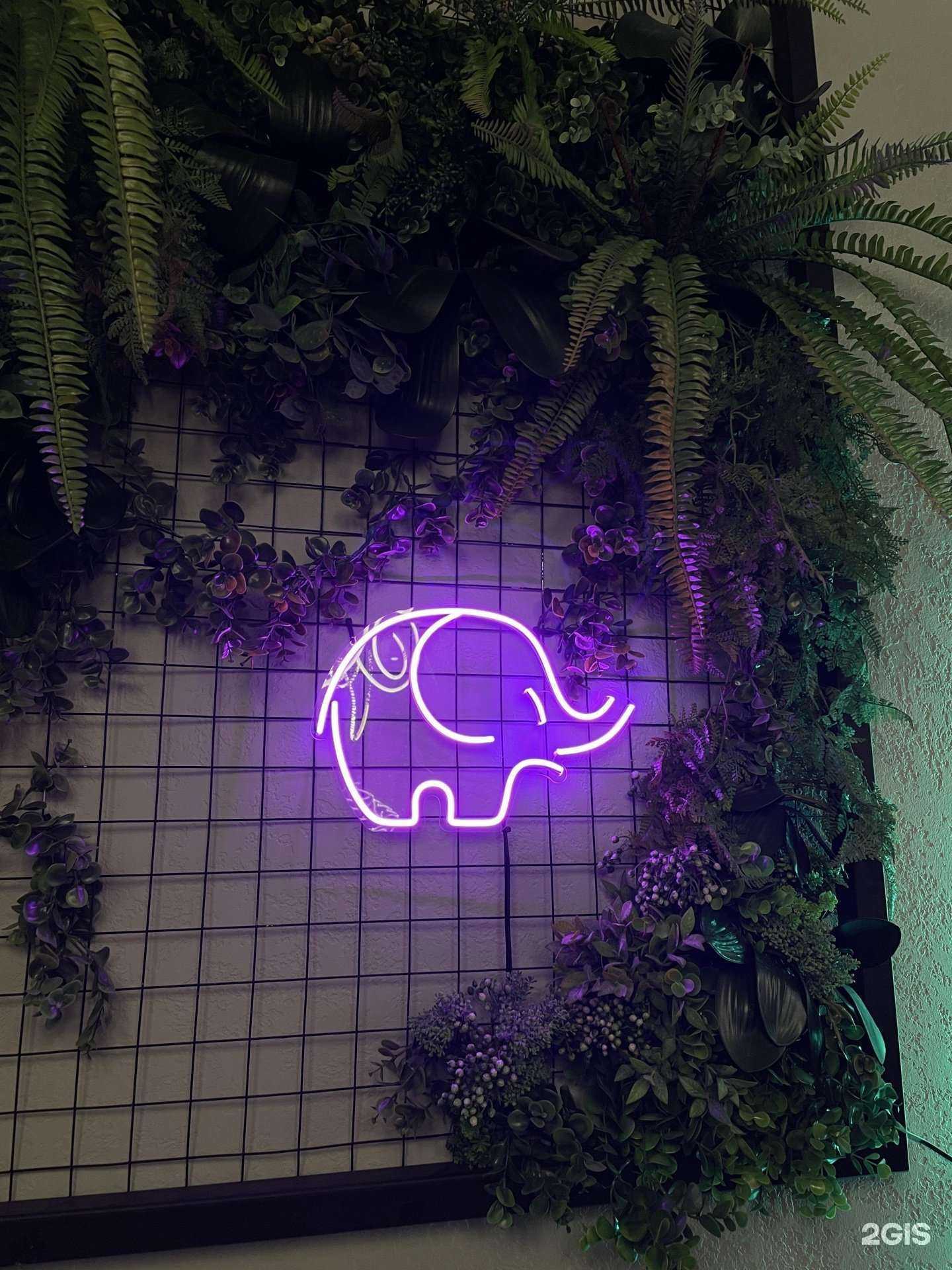 Отзывы на компанию Ла-бариста в г. Армавир c фото