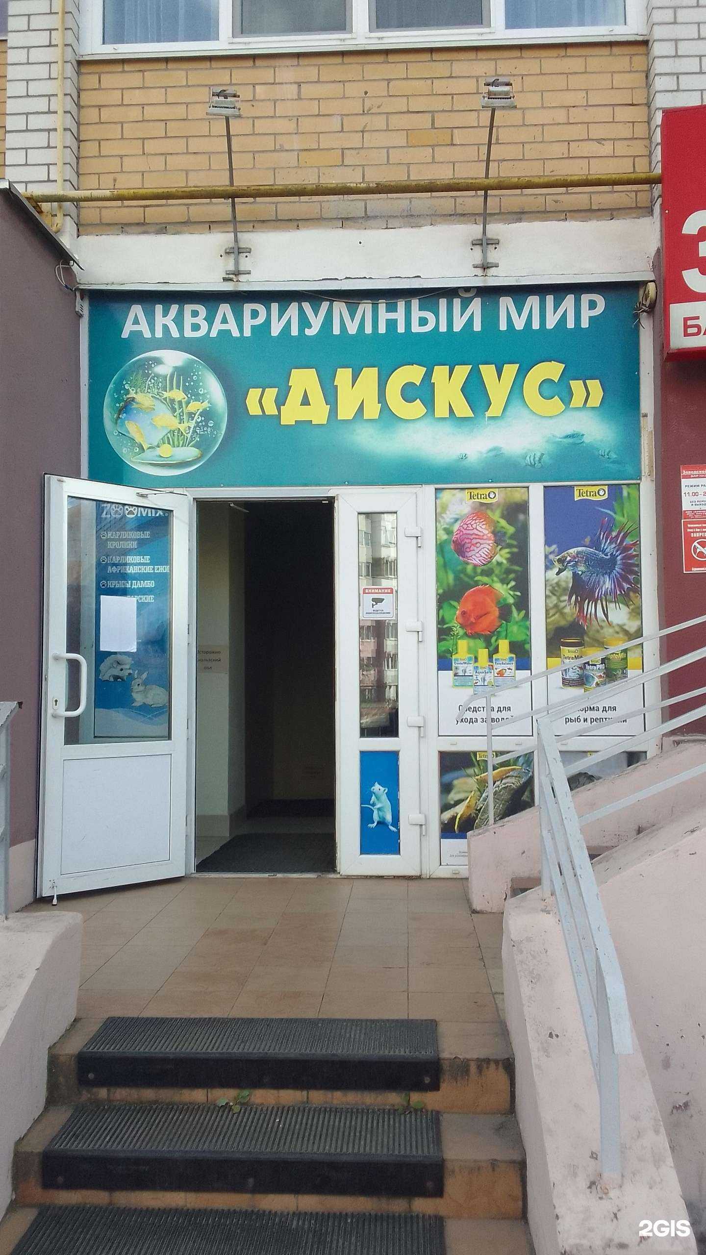 Отзывы на компанию Дискус в Брянске c фото