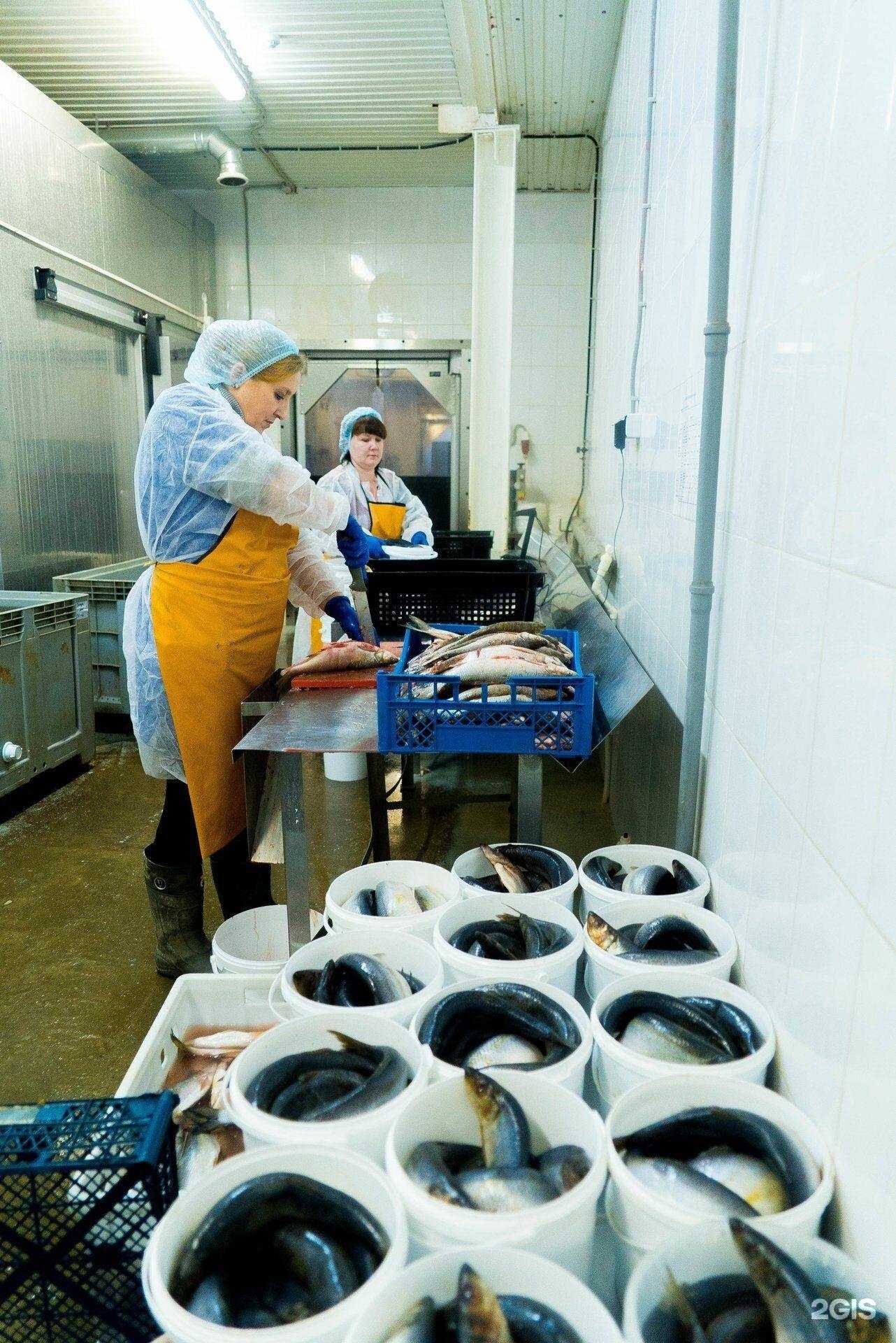 Отзывы на компанию ТамбовРыба в Тамбове c фото