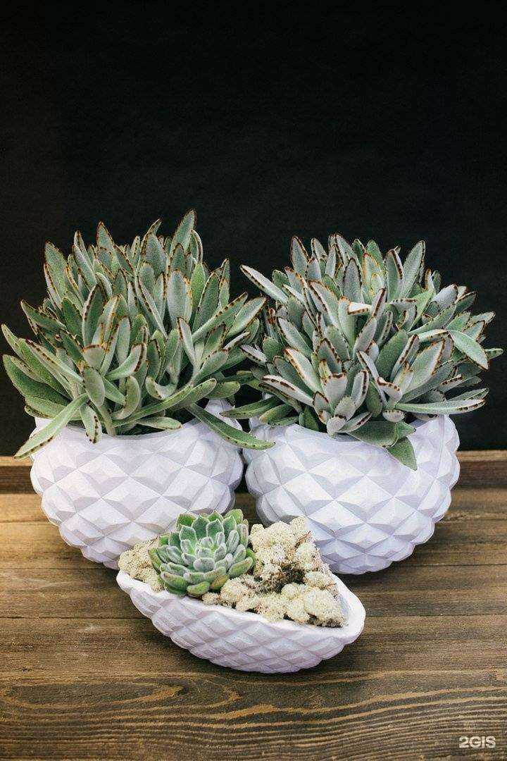 Отзывы на компанию La f ka в Саратове c фото