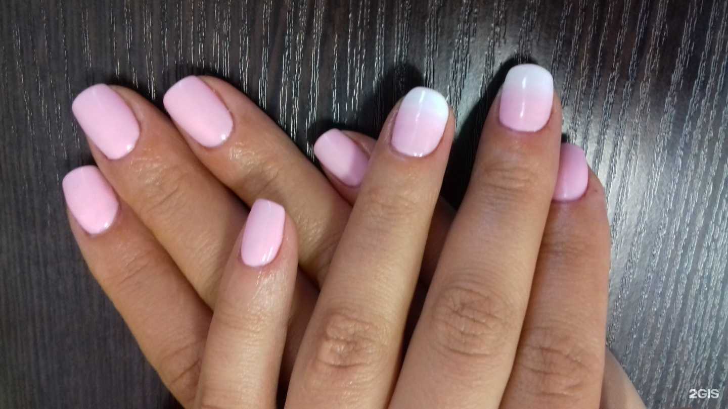 Отзывы на компанию Stars в Сочи c фото