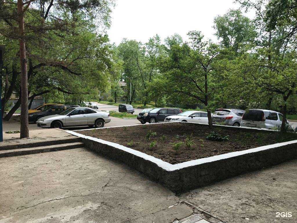 Отзывы на компанию Юнивет в Хабаровске c фото - фотография 2 из 2