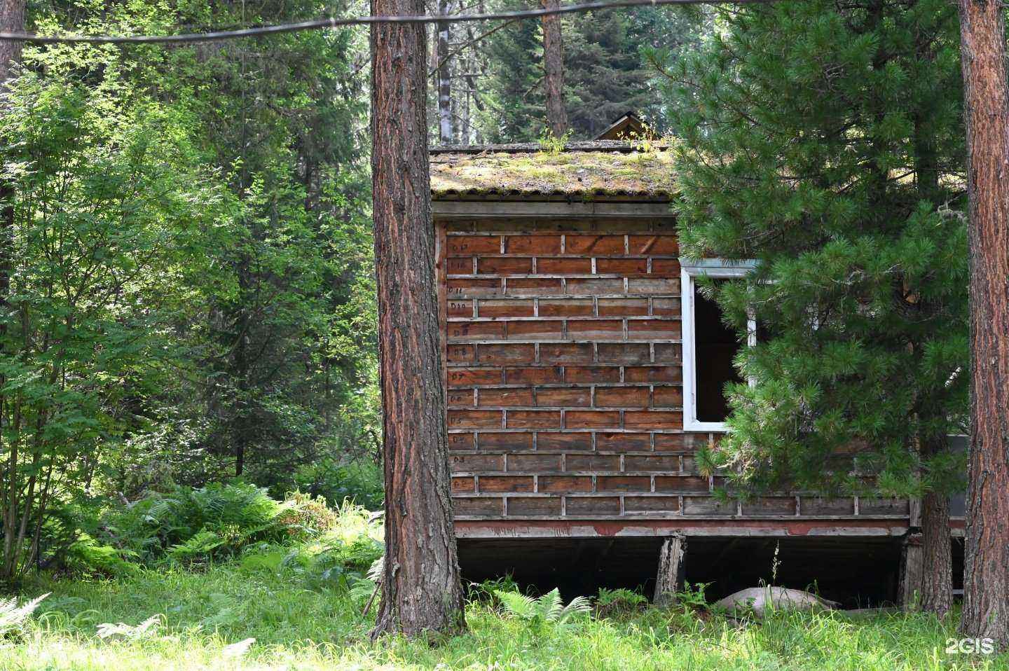 Отзывы на компанию Эдельвейс в Дивногорске c фото