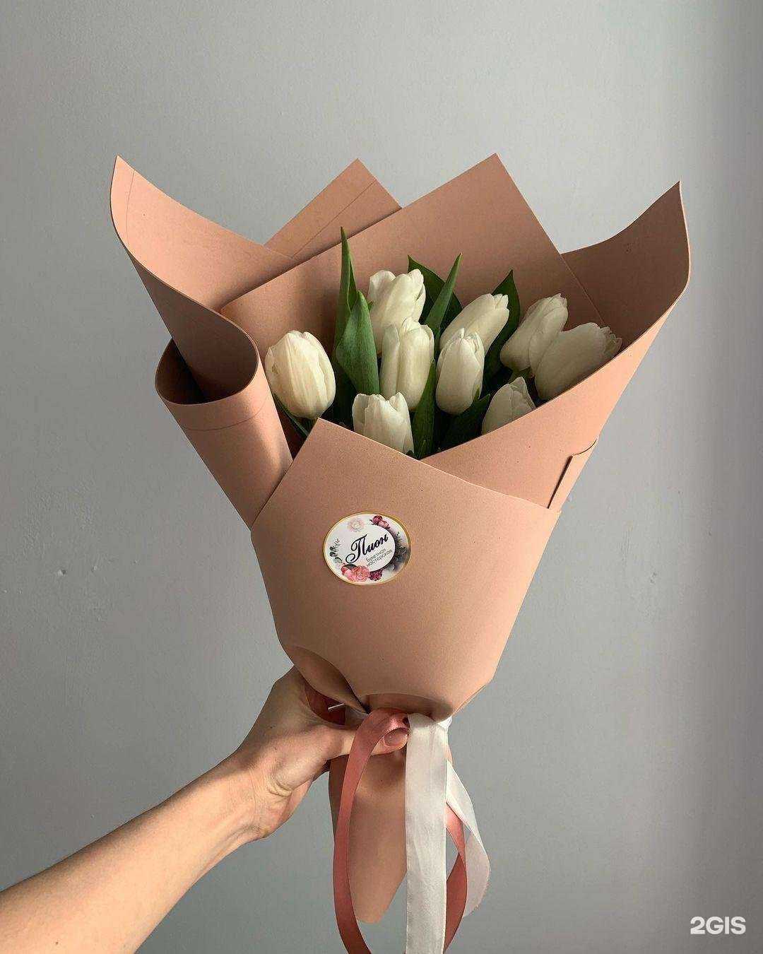 Отзывы на компанию Пион в Новошахтинске c фото