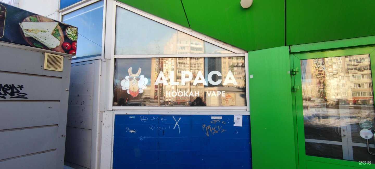 Отзывы на компанию Alpaca в Вологде c фото