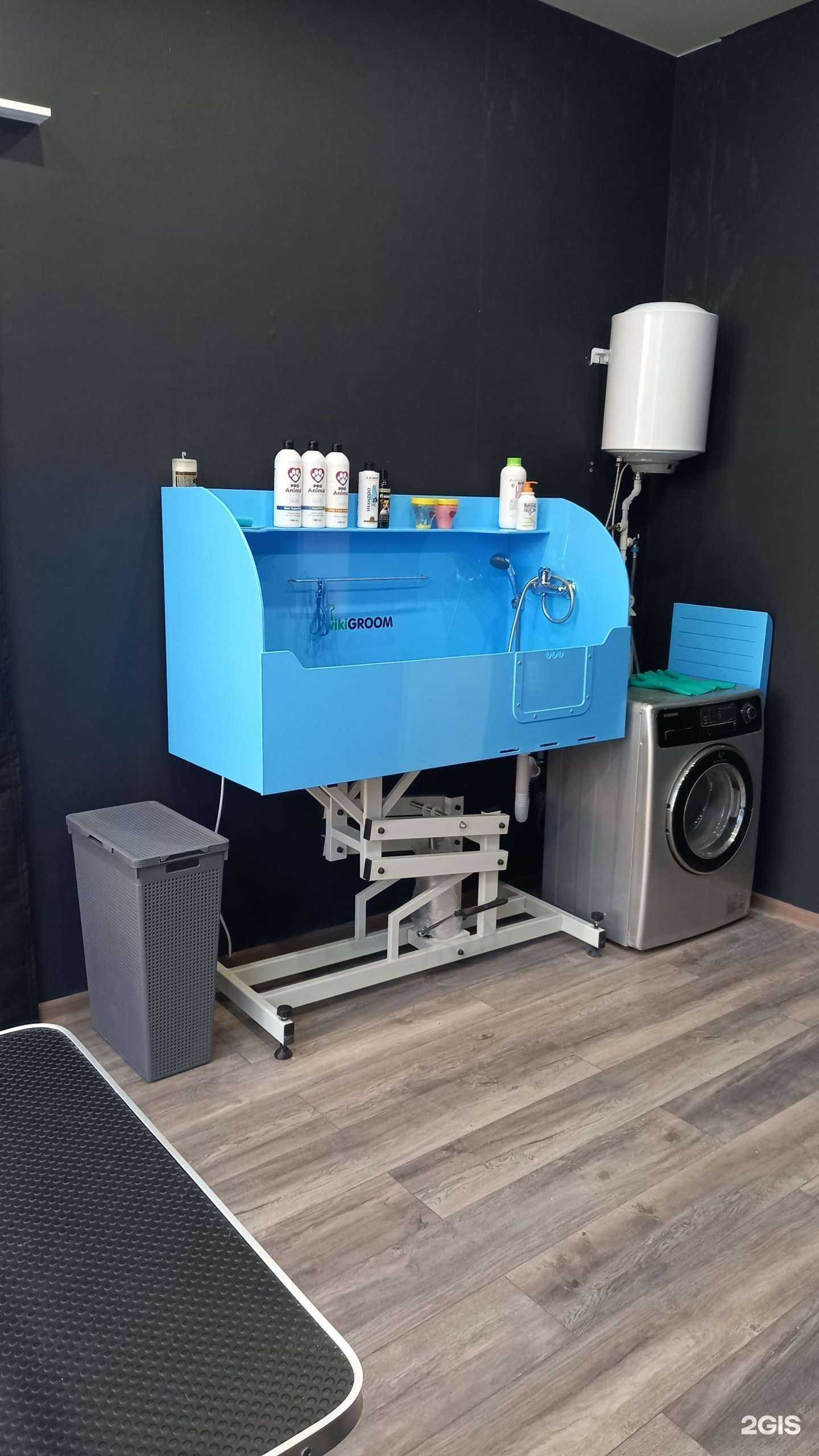 Отзывы на компанию День груминга в г. Волгоград c фото