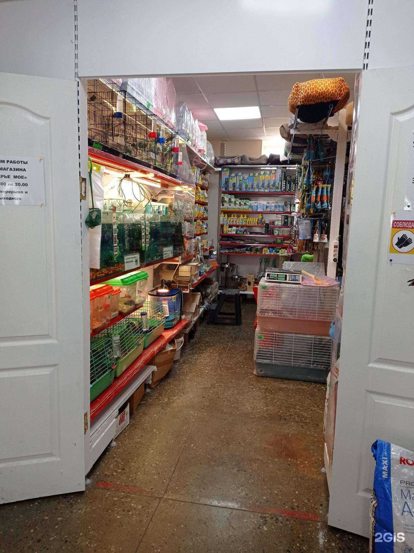 Отзывы на компанию Зверьё моё в г. Невинномысск c фото