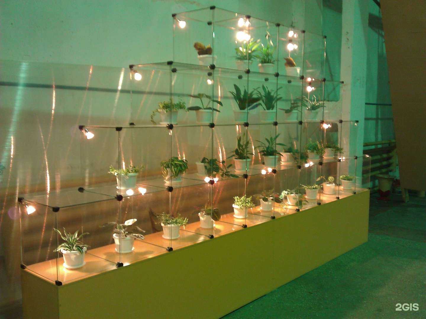 Отзывы на компанию Дамэль в Кургане c фото