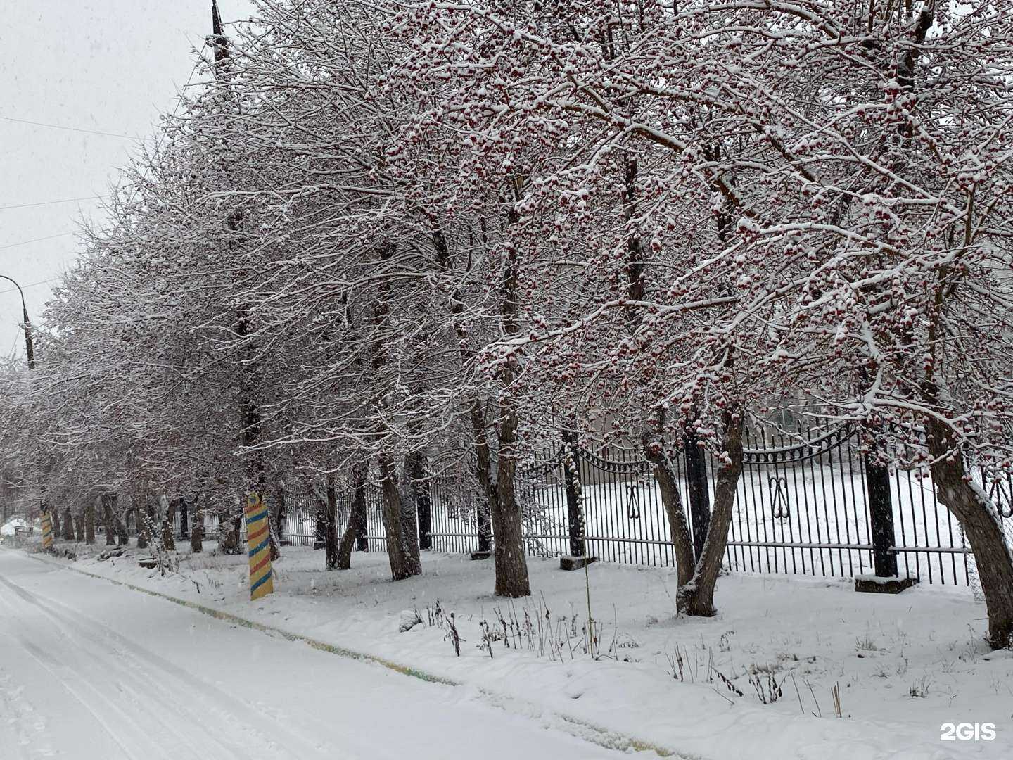 Отзывы на компанию Центр развития ребенка-детский сад №97 в Магнитогорске c фото