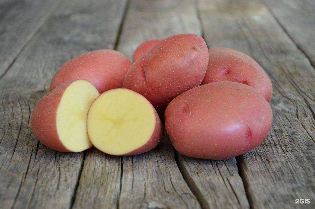 Отзывы на компанию Усадьба в г. Златоуст c фото