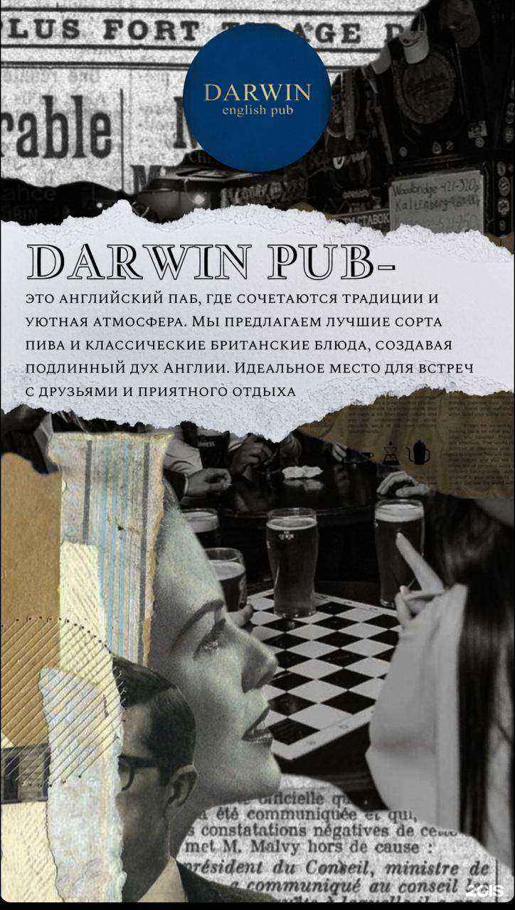 Отзывы на компанию Darwin в г. Набережные Челны c фото