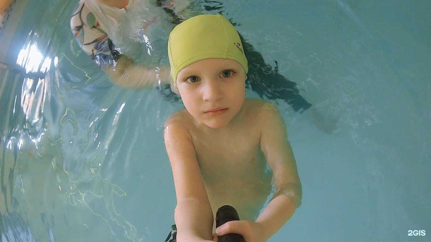 Отзывы на компанию Китёнок в г. Реутов c фото