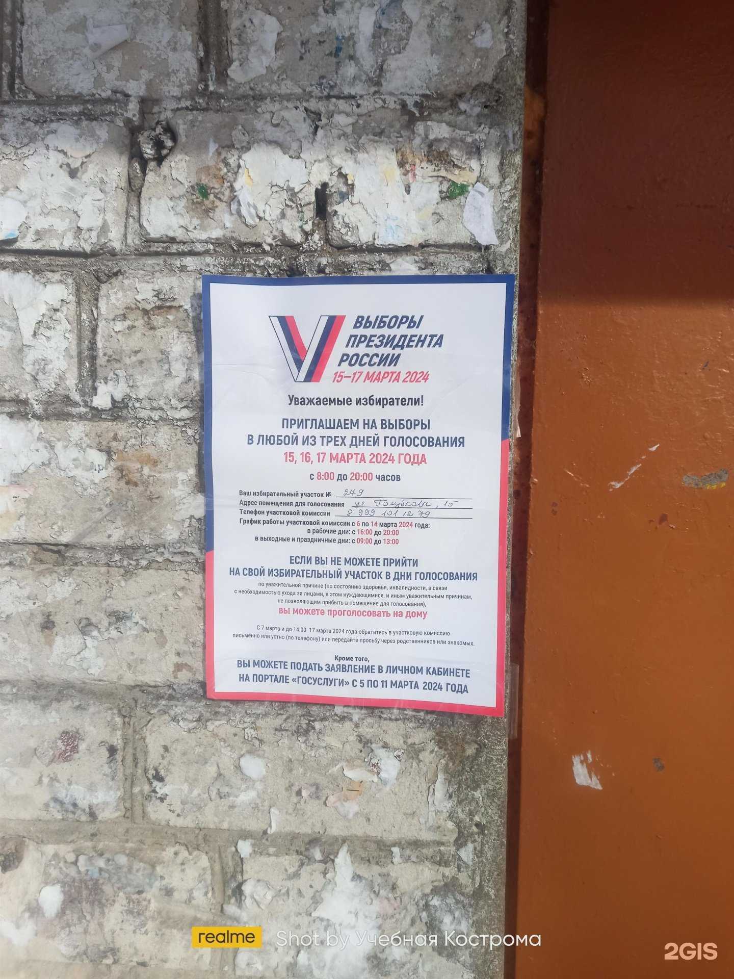 Отзывы на компанию Белые слоны в Костроме c фото - фотография 2 из 2