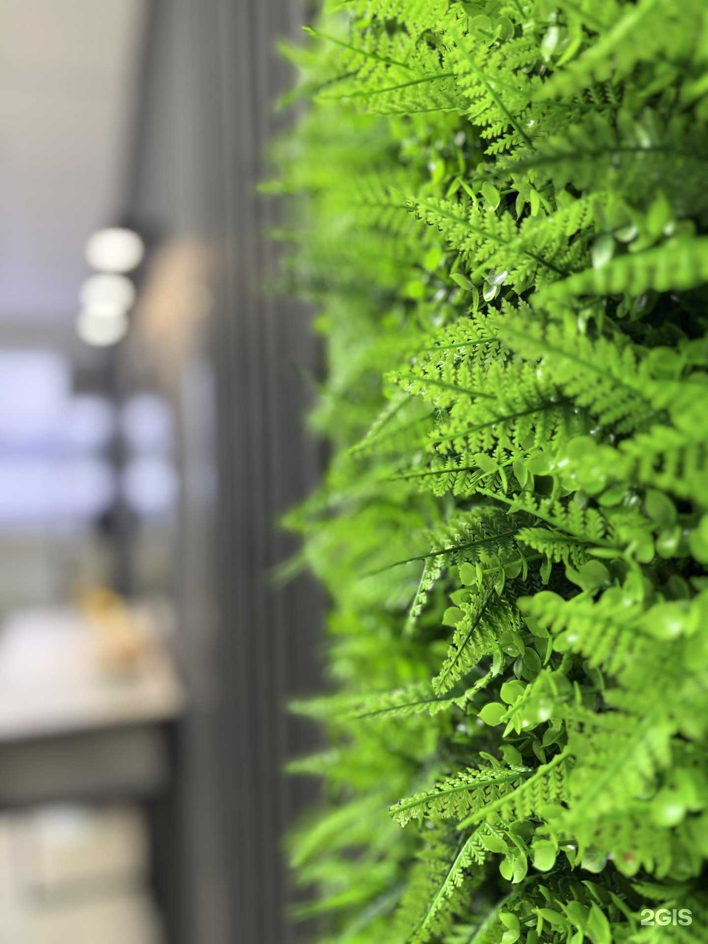 Отзывы на компанию Миндаль в Бийске c фото