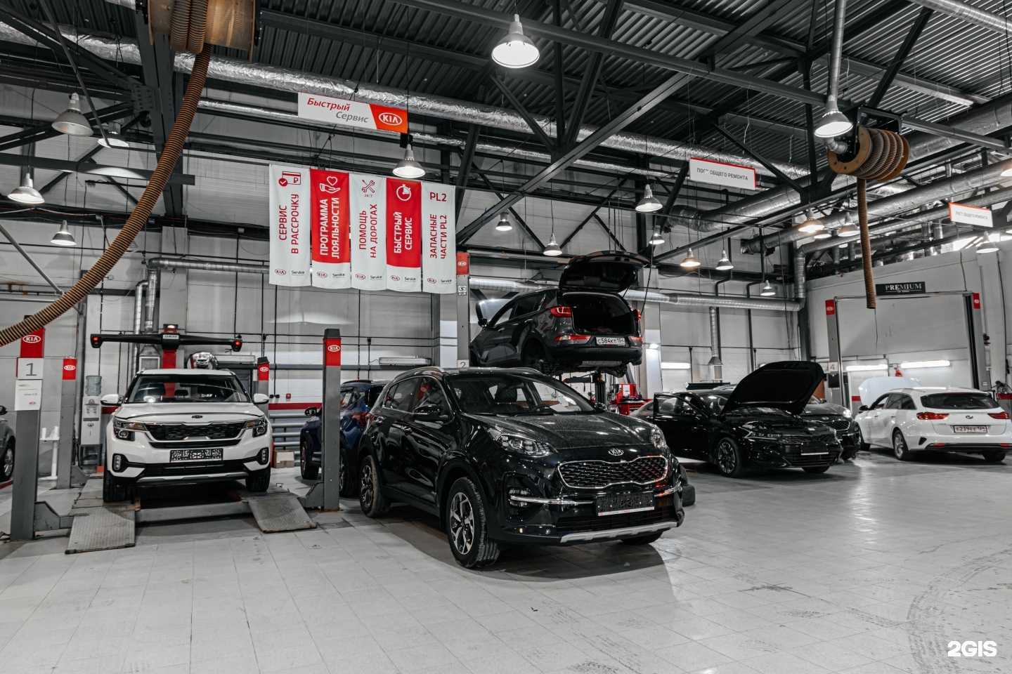 Отзывы на компанию Сармат в Новосибирске c фото