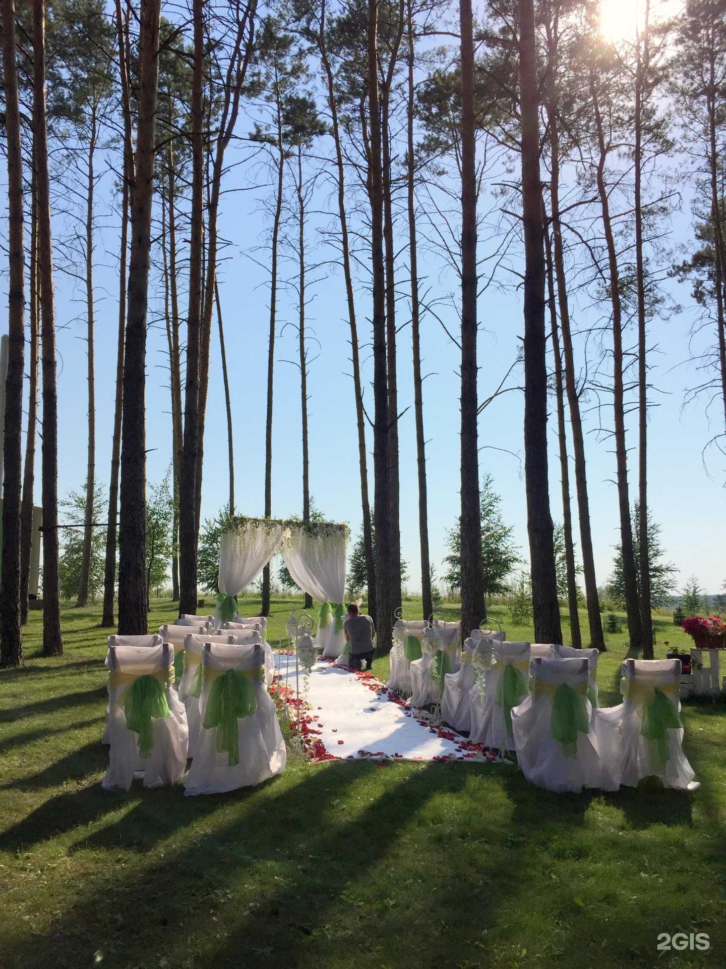 Отзывы на компанию Базилик в г. Тольятти c фото