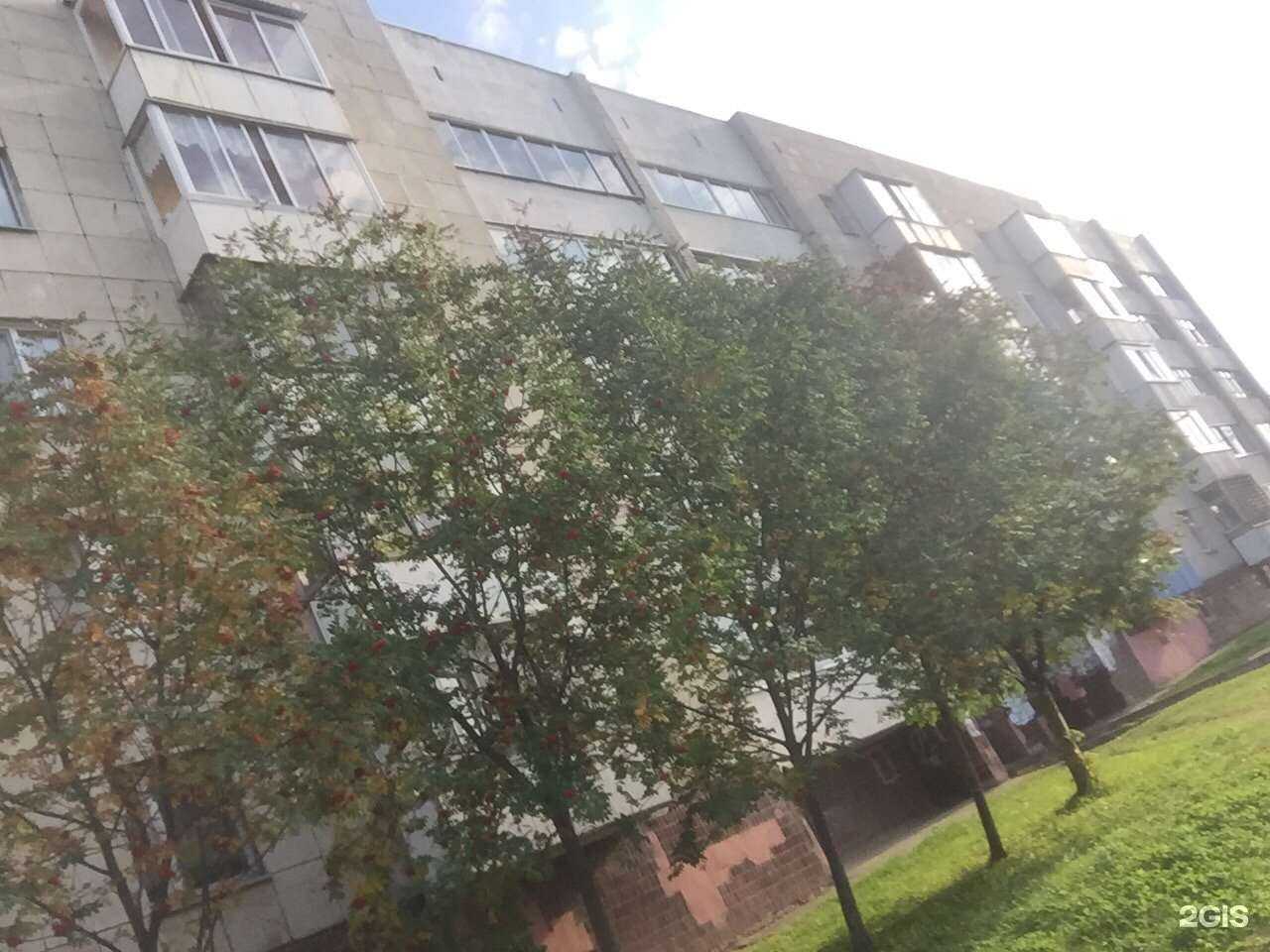 Отзывы на компанию VL в Елабуге c фото - фотография 2 из 2