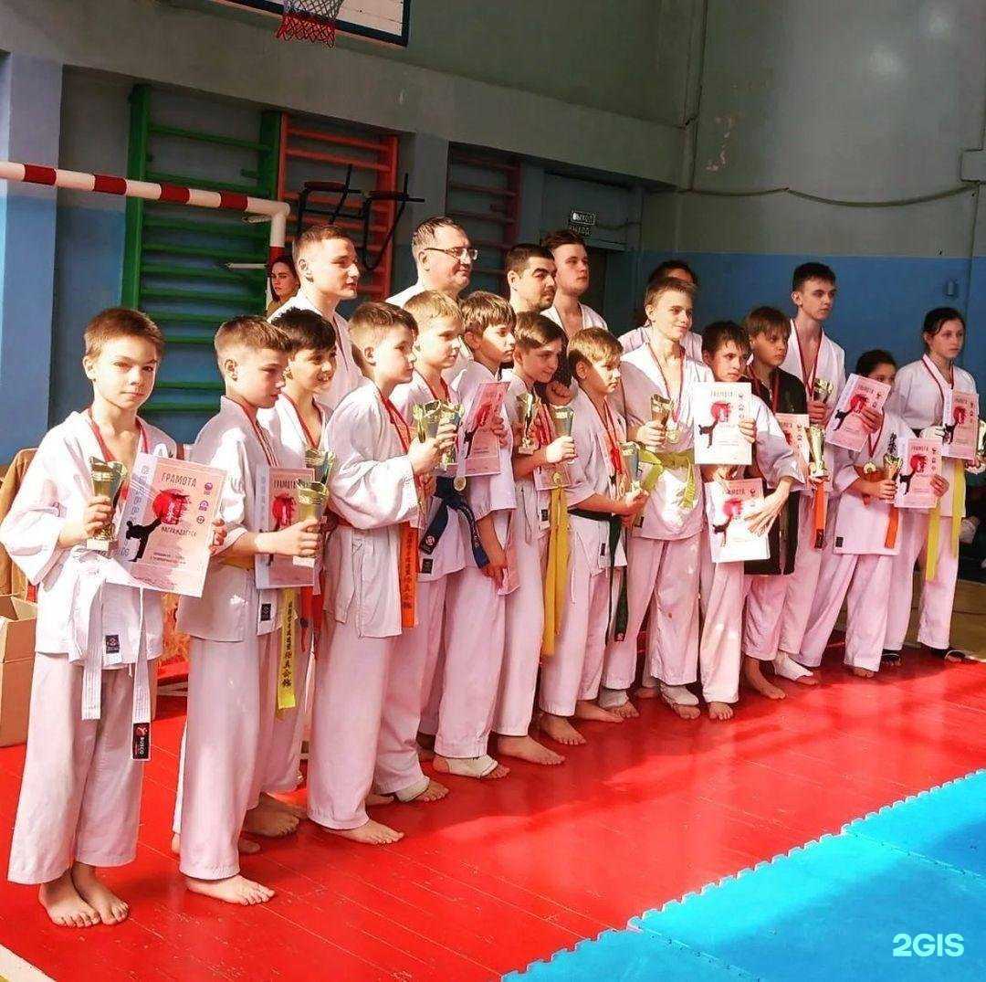 Отзывы на компанию Киокусинкай в Волжском c фото