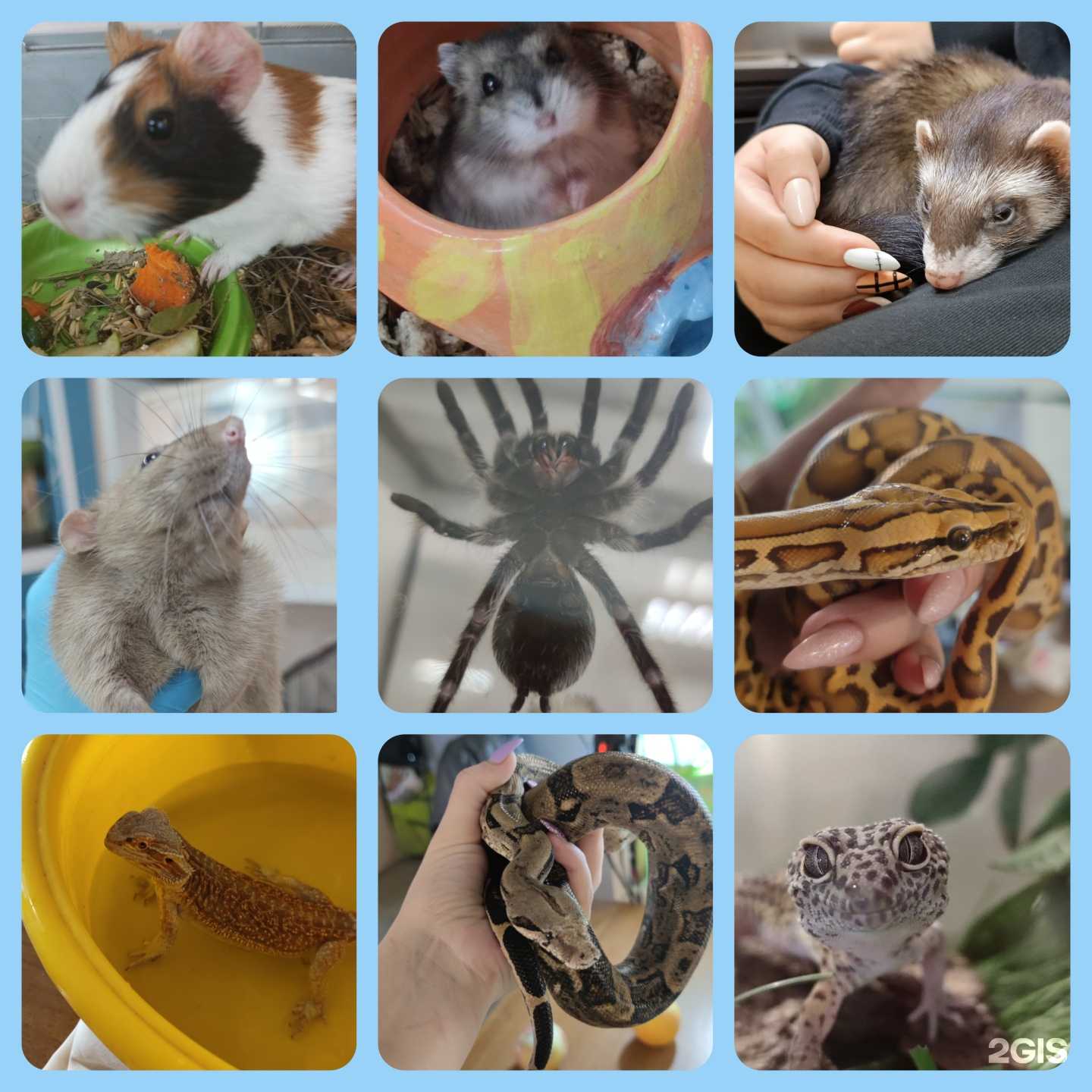 Отзывы на компанию Медуза в г. Новокуйбышевск c фото