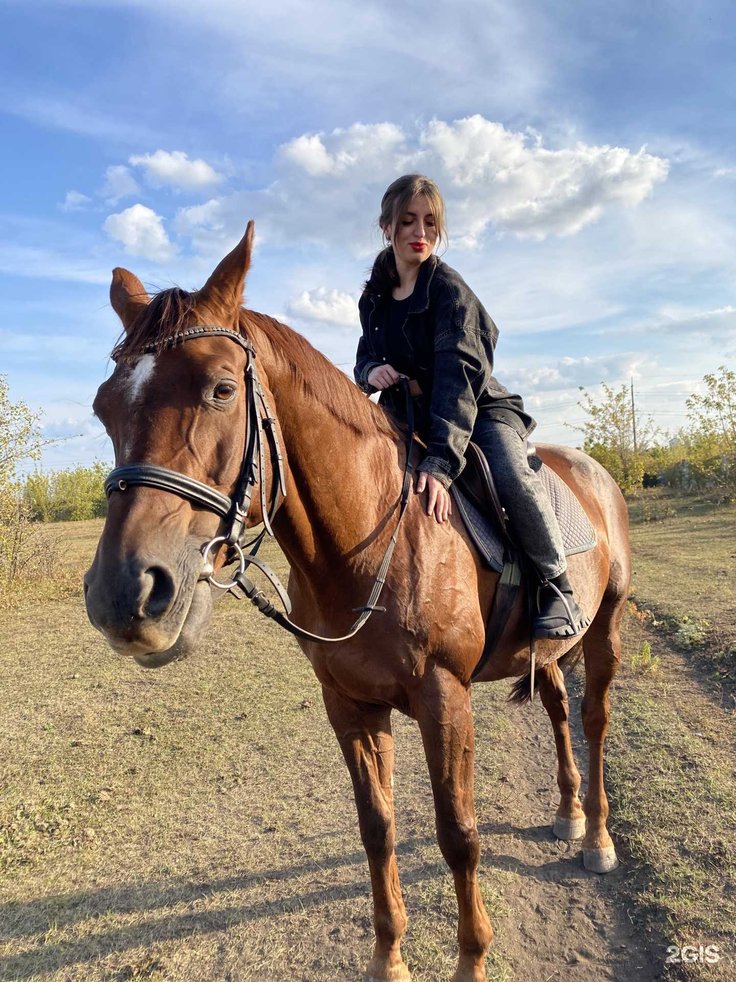 Отзывы на компанию Конноспортивный комплекс в г. Саранск c фото