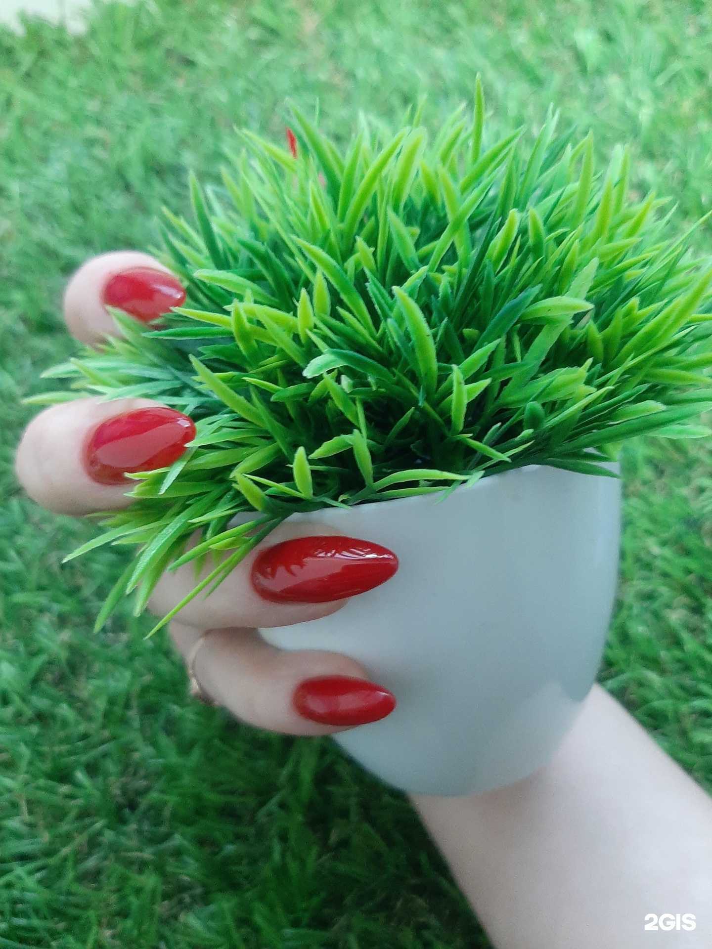 Отзывы на компанию Елена  в Барнауле c фото