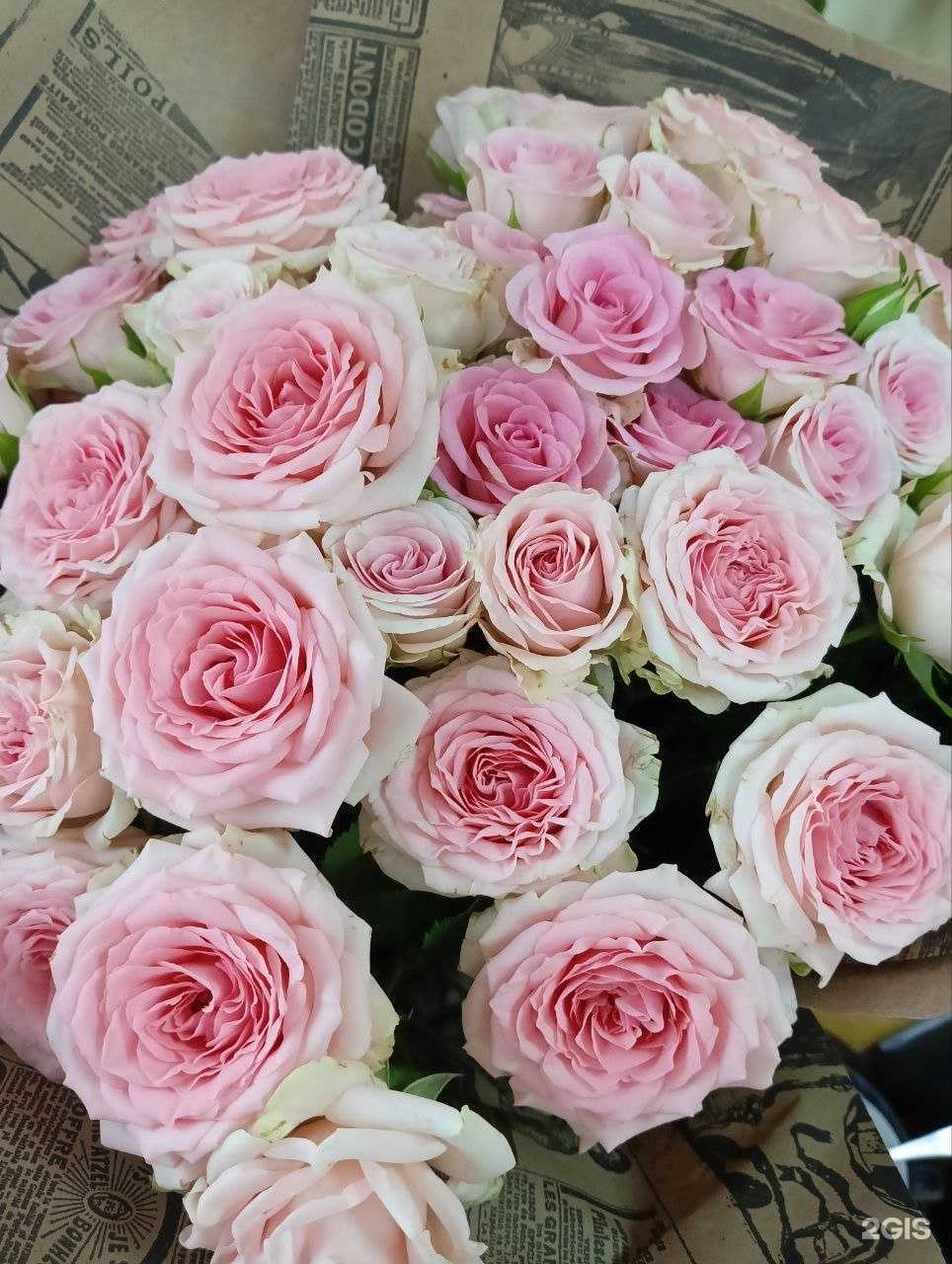 Отзывы на компанию Семицветик в г. Вязьма c фото