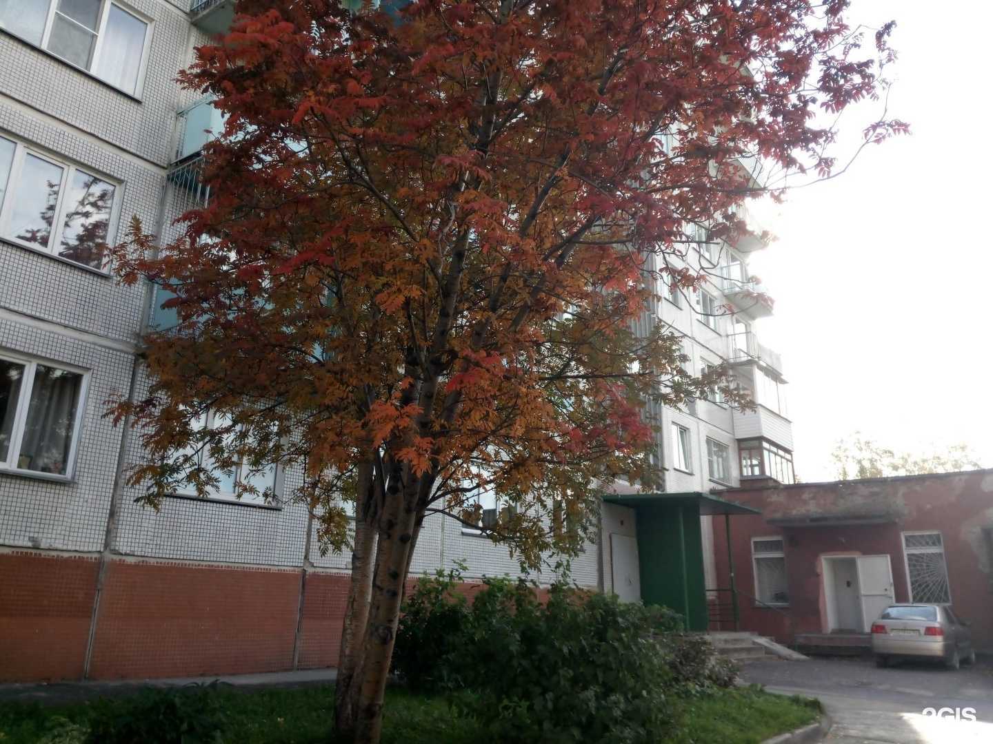 Отзывы на компанию Vesna в Новосибирске c фото - фотография 2 из 2