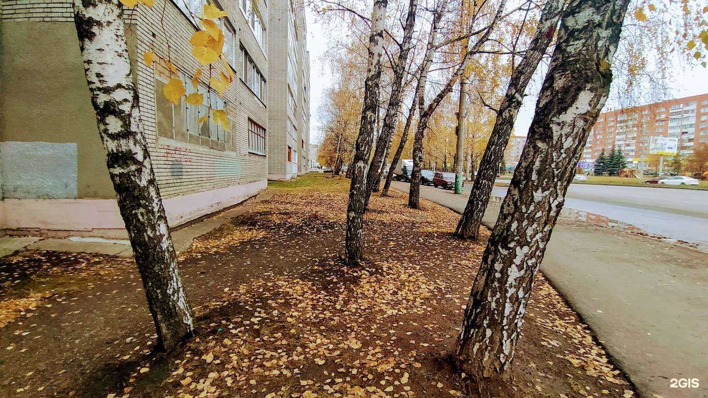 Отзывы на компанию Леся в Пензе c фото - фотография 2 из 2