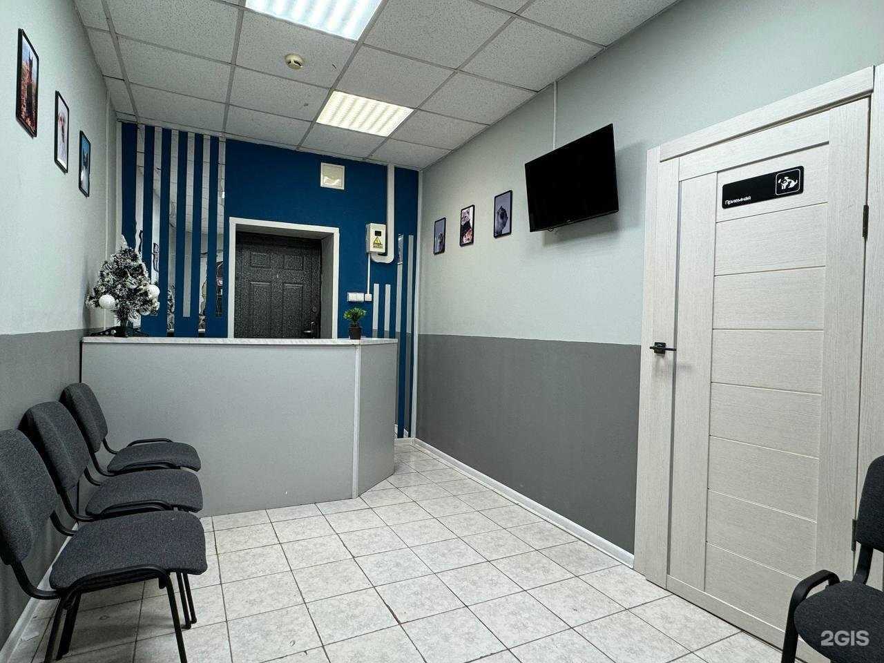 Отзывы на компанию ВиваВет в г. Южно-Сахалинск c фото