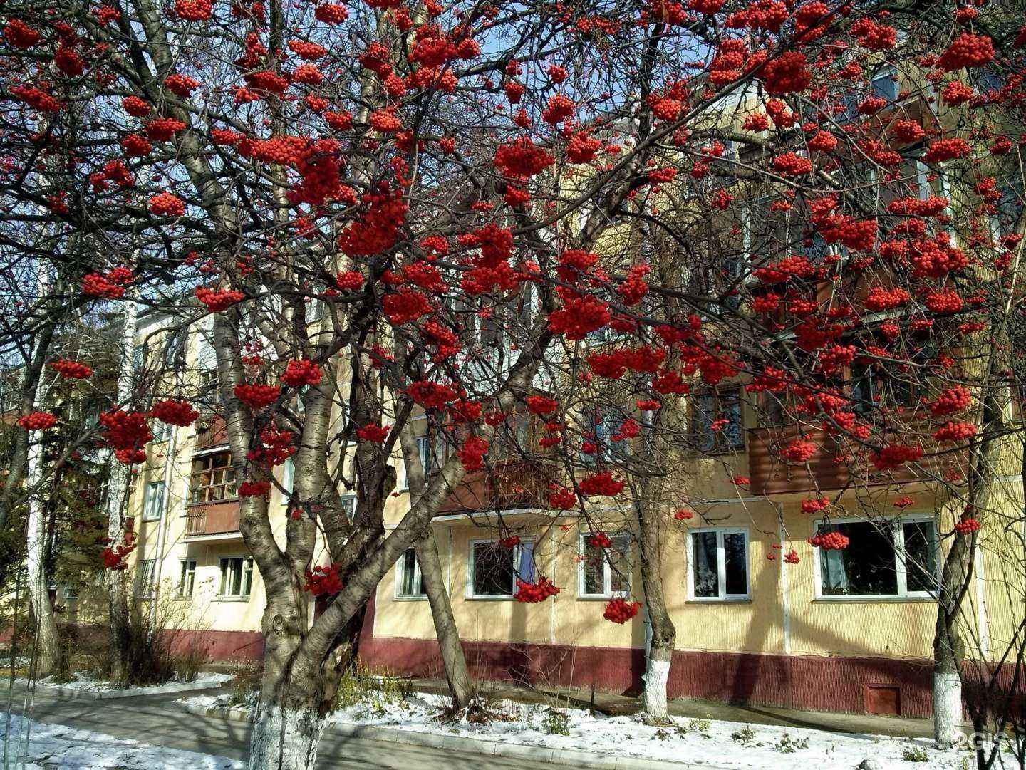 Отзывы на компанию Brokerage consult в Новосибирске c фото - фотография 2 из 2