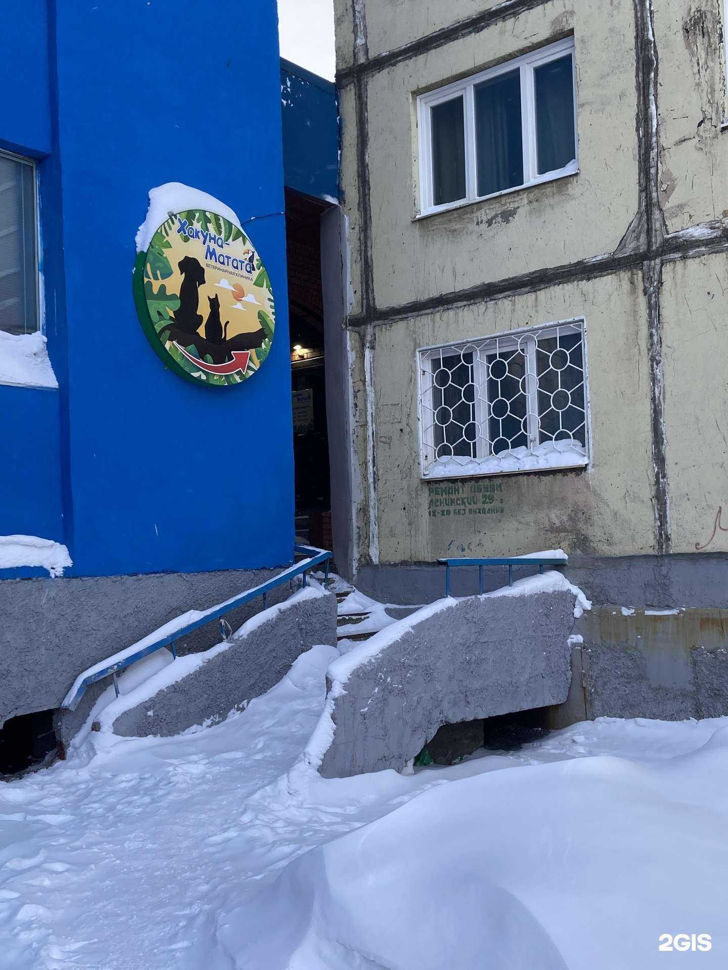 Отзывы на компанию Хакуна Матата в г. Норильск c фото