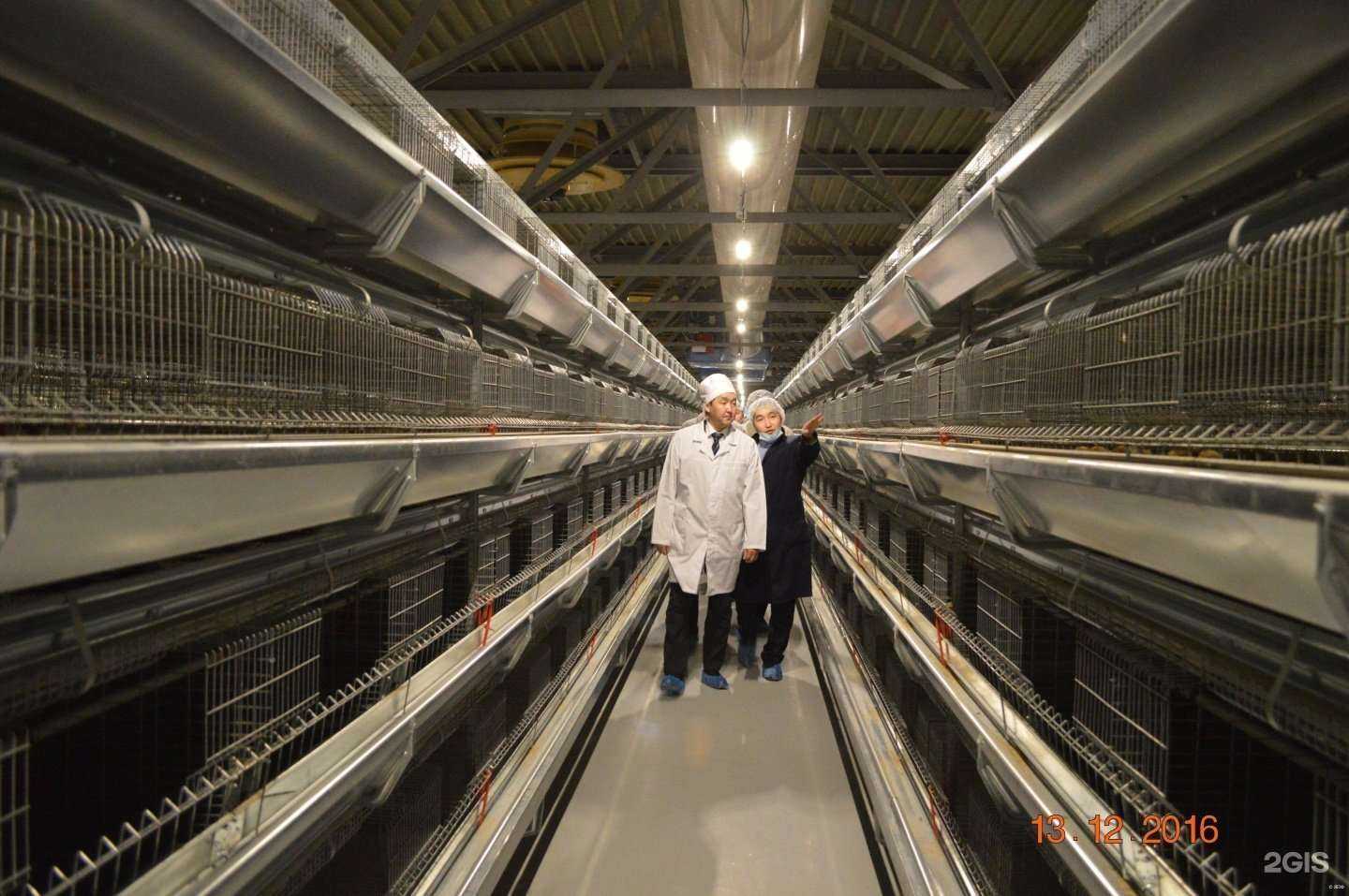 Отзывы на компанию Якутская Птицефабрика в г. Якутск c фото