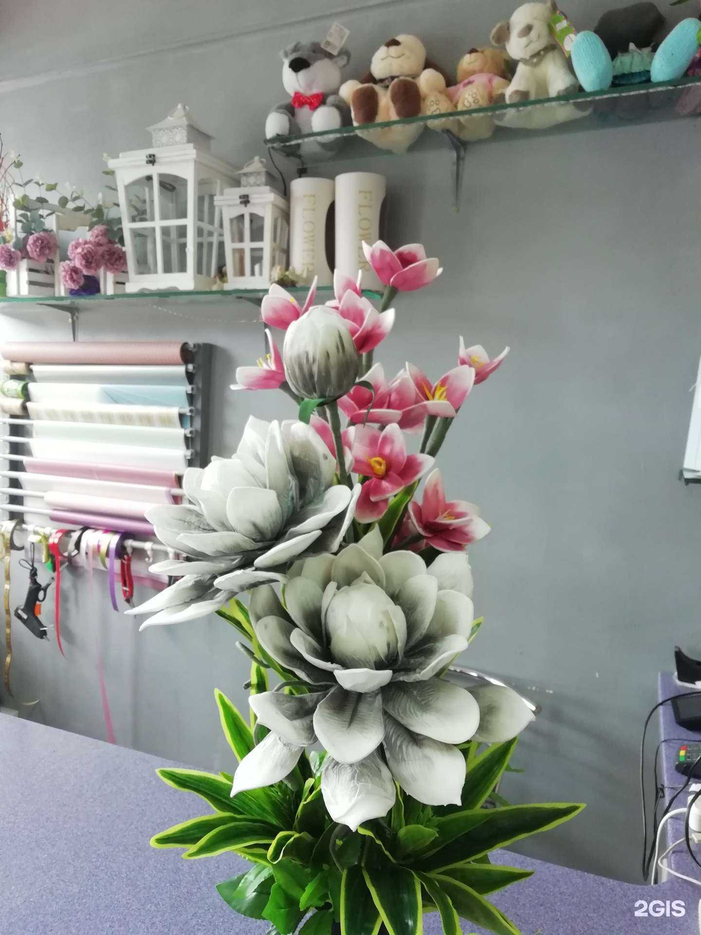 Отзывы на компанию Лиза в Орле c фото