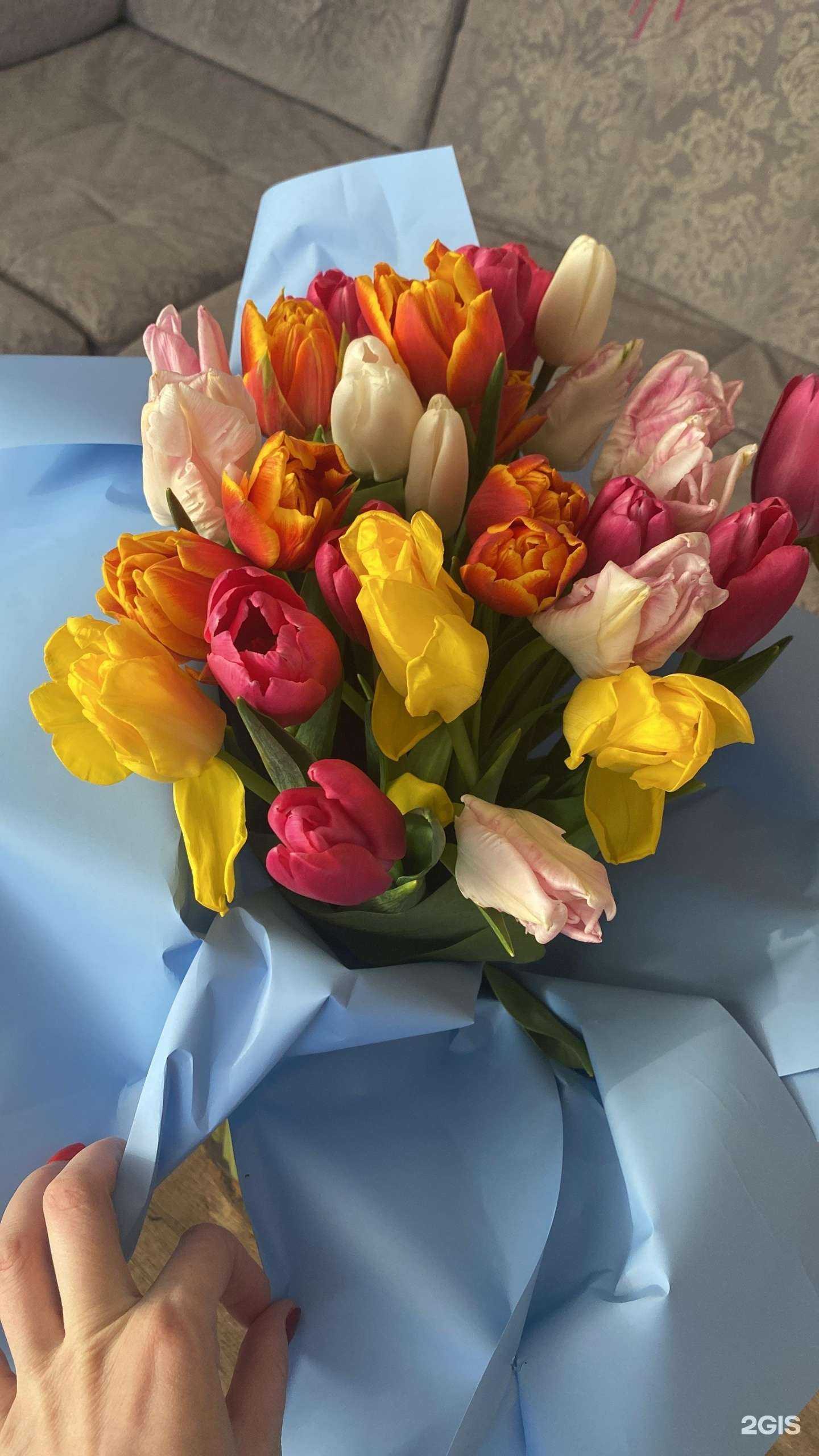 Отзывы на компанию Azeriflores в Хабаровске c фото