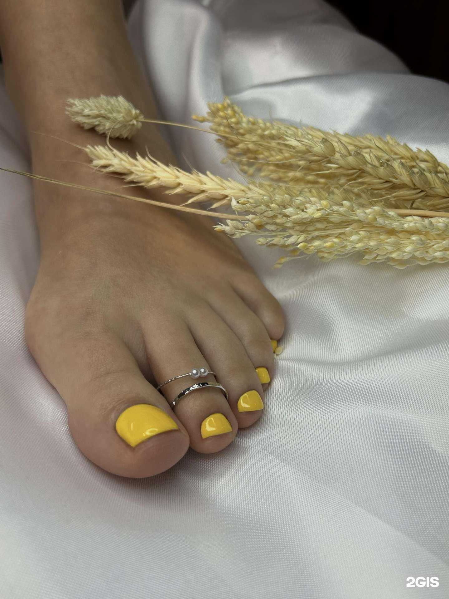 Отзывы на компанию Twiggy в Сургуте c фото