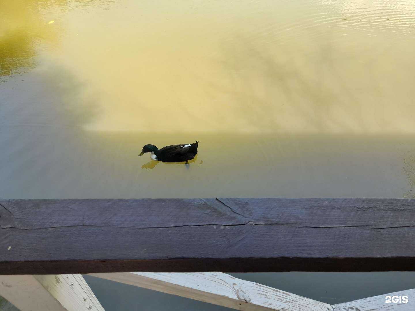 Отзывы на компанию Клёвое место в Сочи c фото