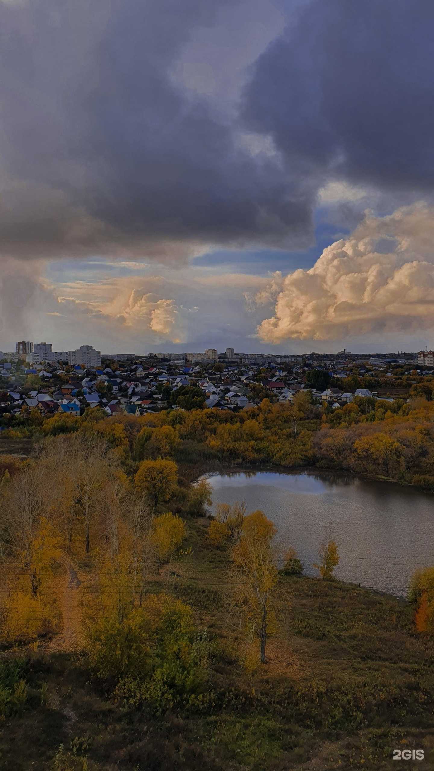 Отзывы на компанию Ирис в Барнауле c фото - фотография 2 из 2