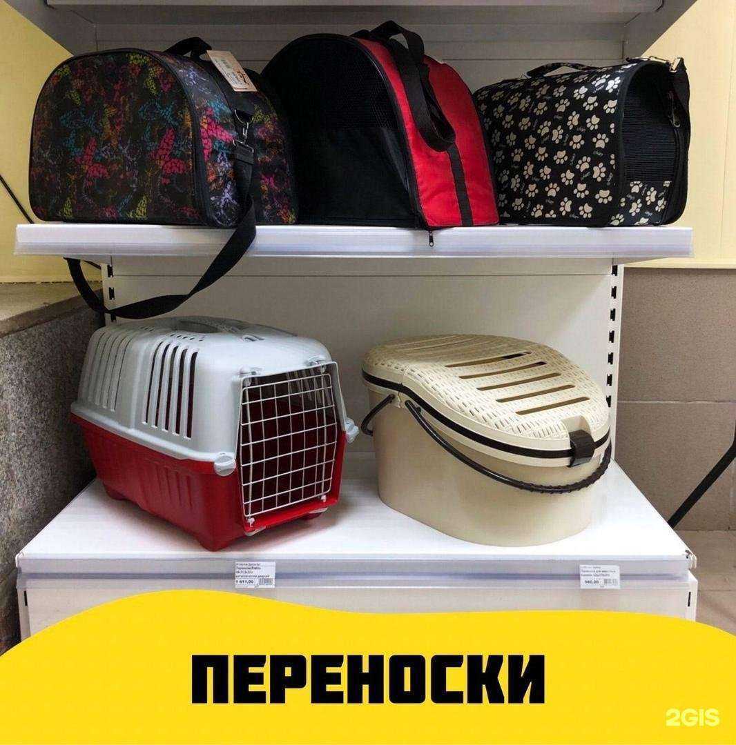 Отзывы на компанию Рыжий Кот в г. Ижевск c фото