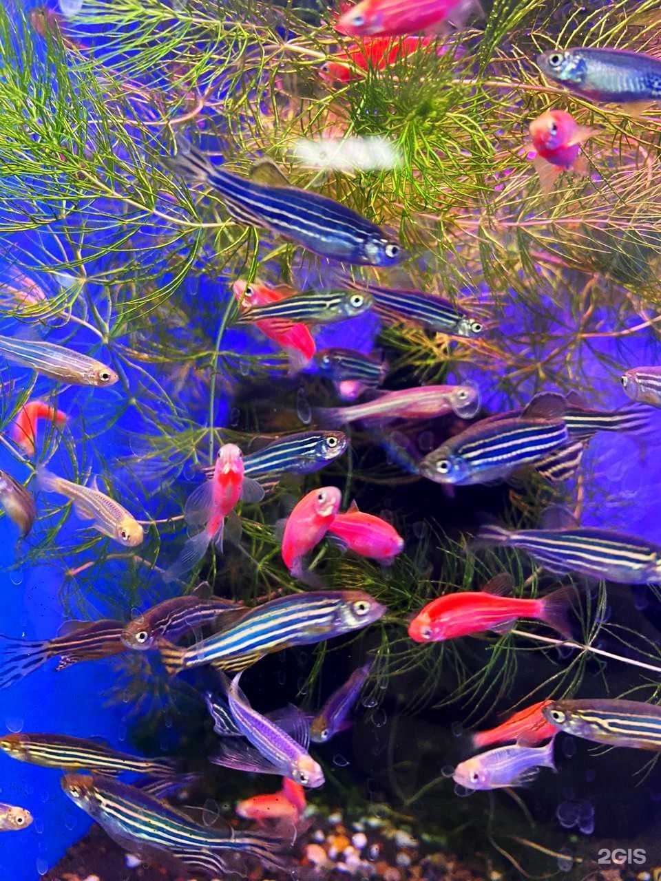 Отзывы на компанию Волшебный мир в Магнитогорске c фото