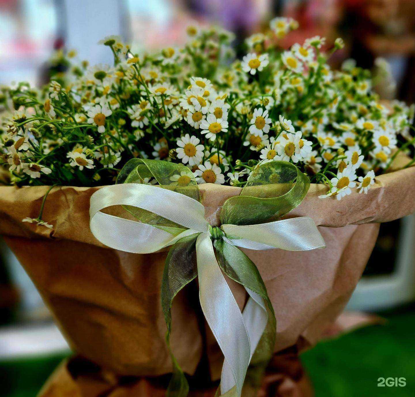 Отзывы на компанию Праздничные истории в г. Майкоп c фото