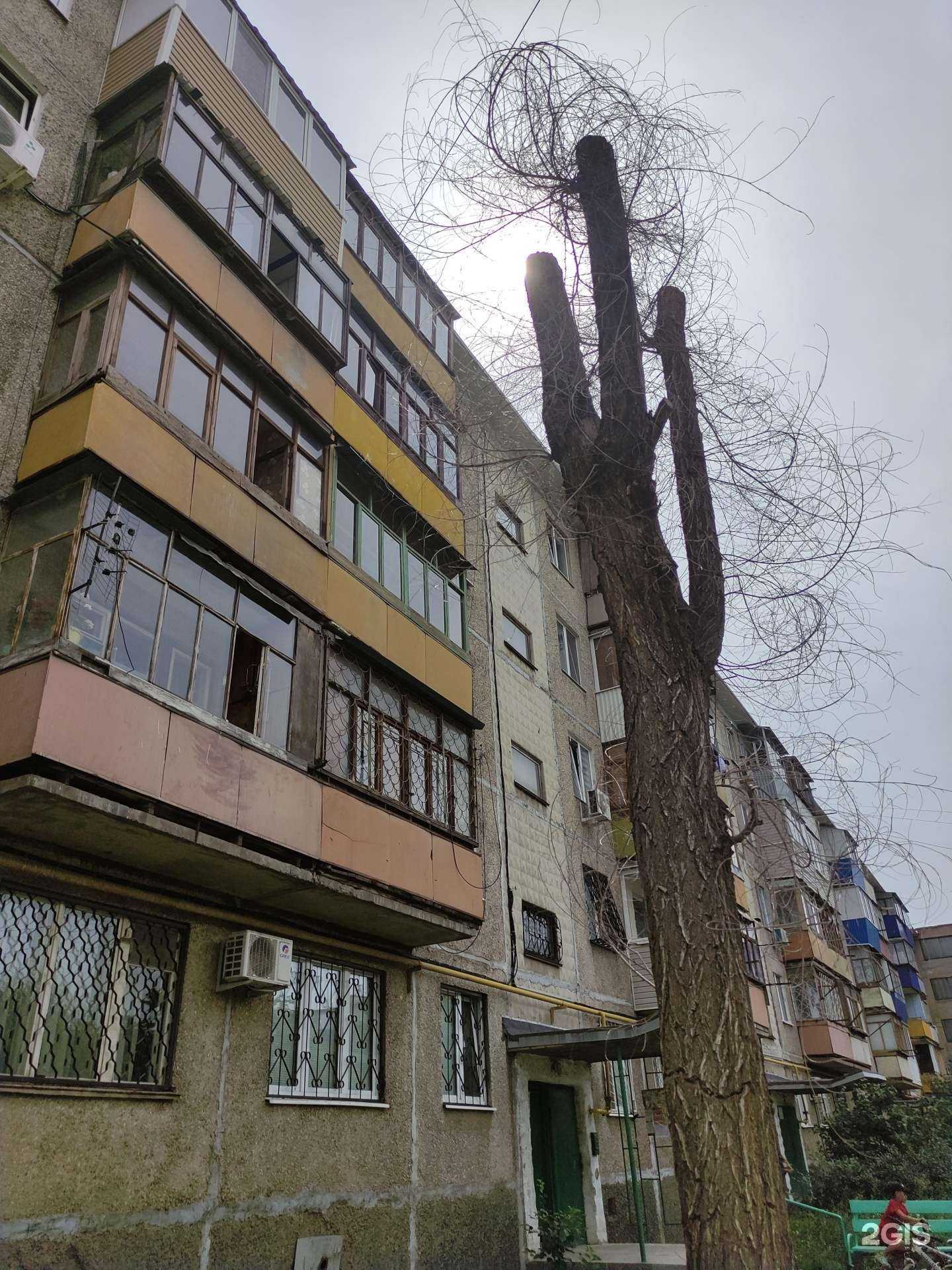 Отзывы на компанию Школа частной охраны в Орске c фото - фотография 2 из 2