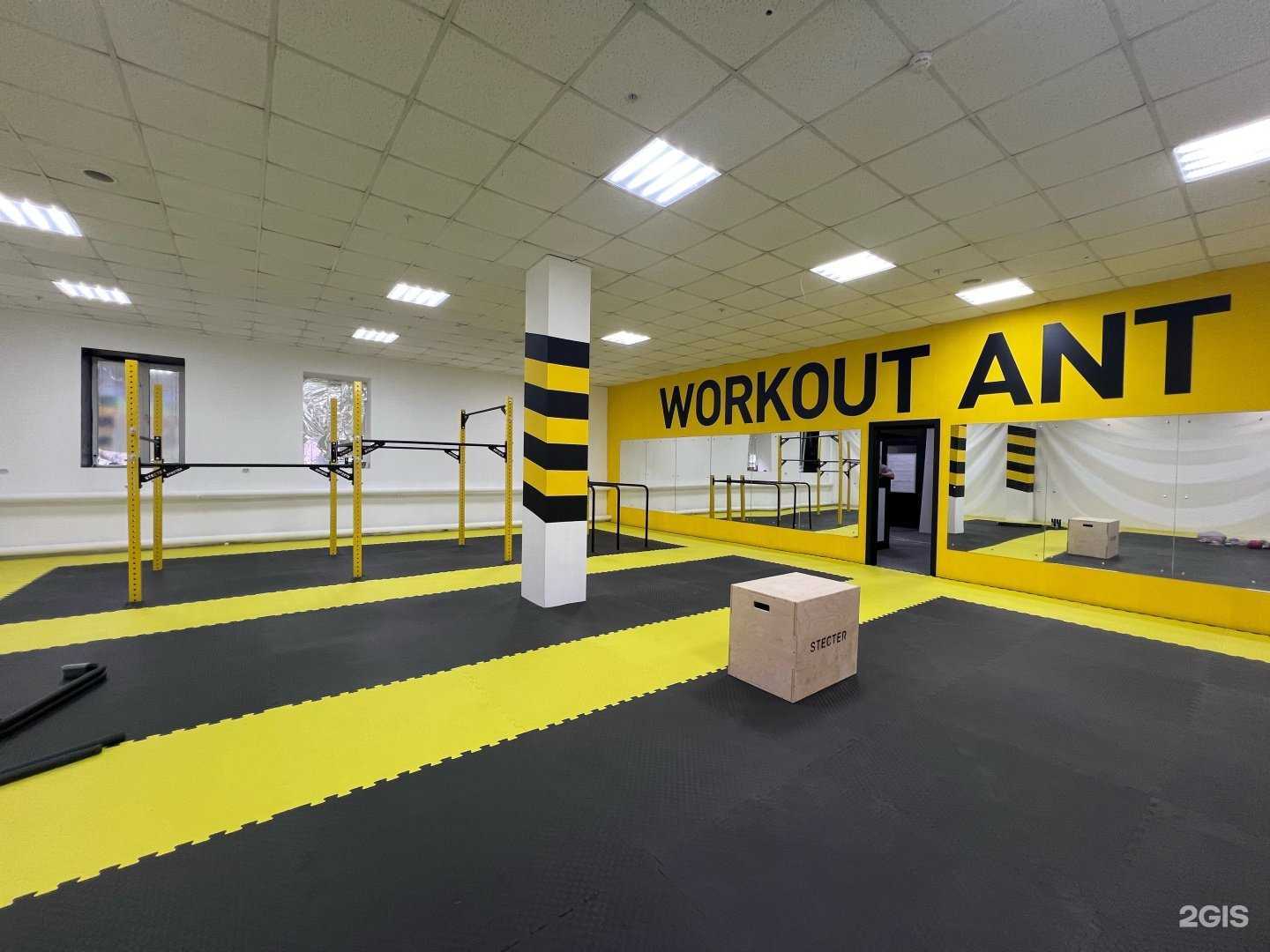 Отзывы на компанию Workout-Ant в Альметьевске c фото