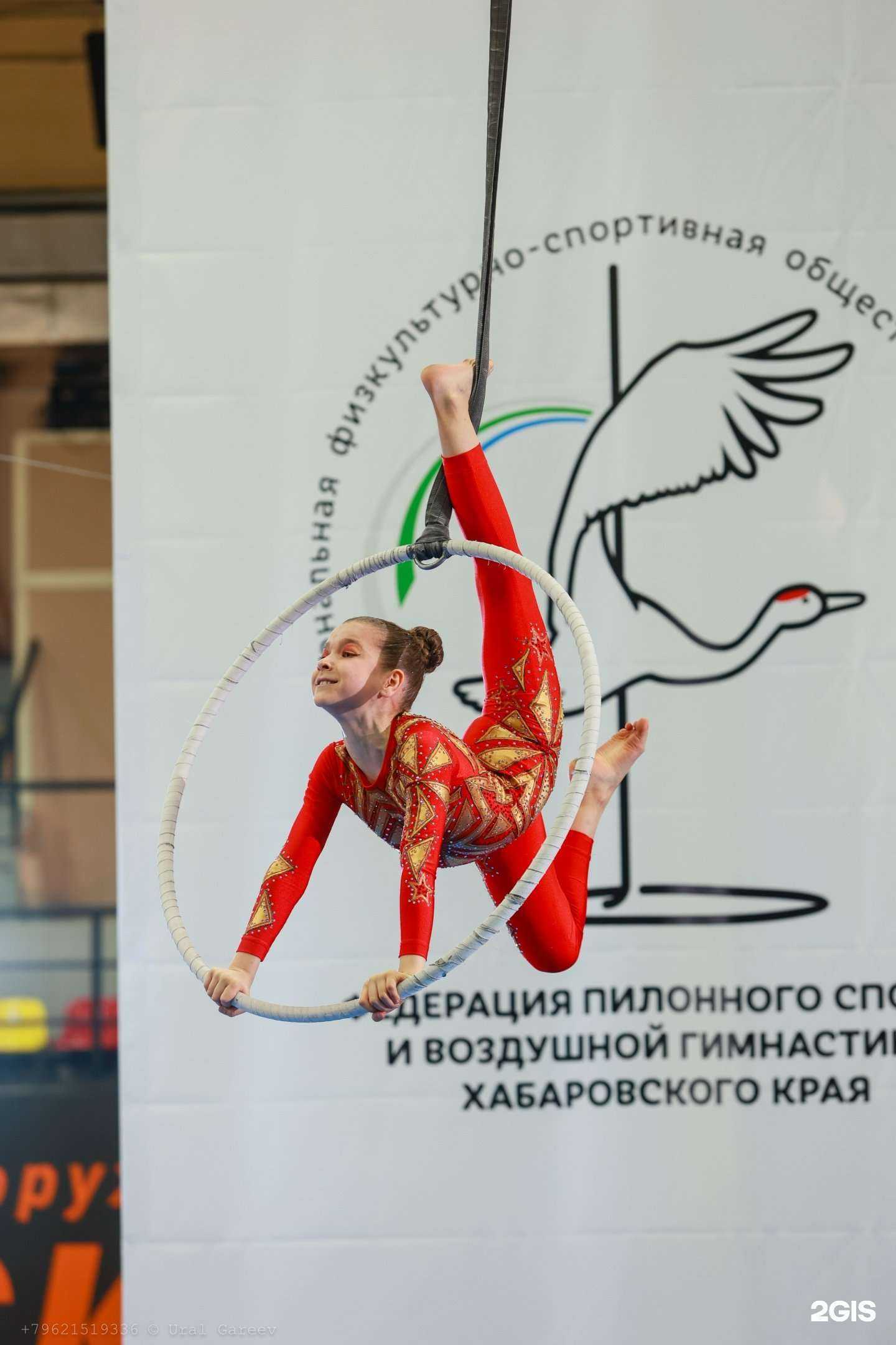 Отзывы на компанию Игуана в Хабаровске c фото