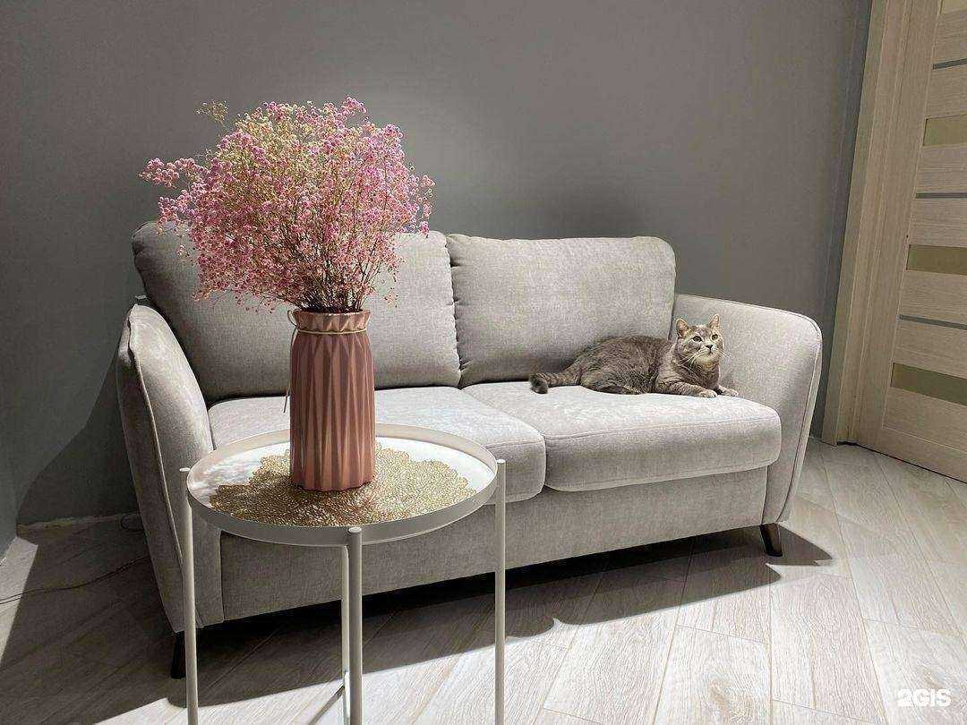 Отзывы на компанию Эко мебель в Брянске c фото