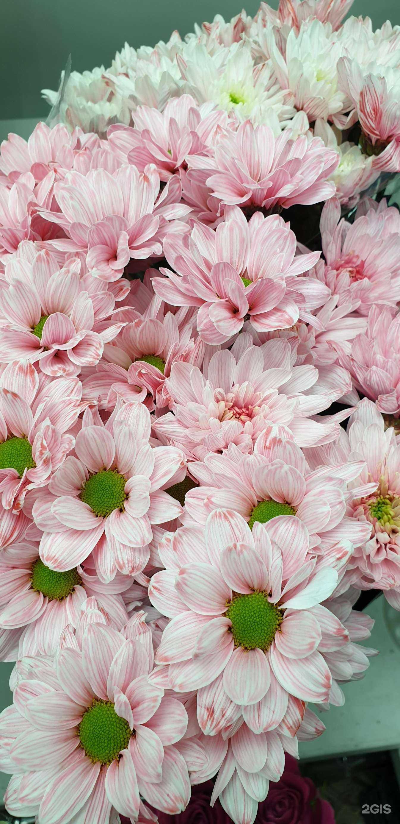 Отзывы на компанию Салон цветов в г. Ноябрьск c фото