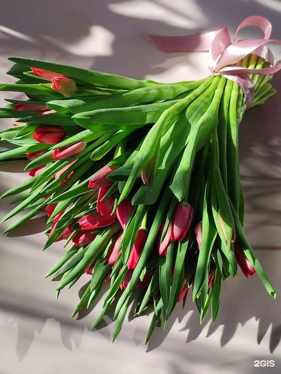 Отзывы на компанию Iris в г. Щёлково c фото