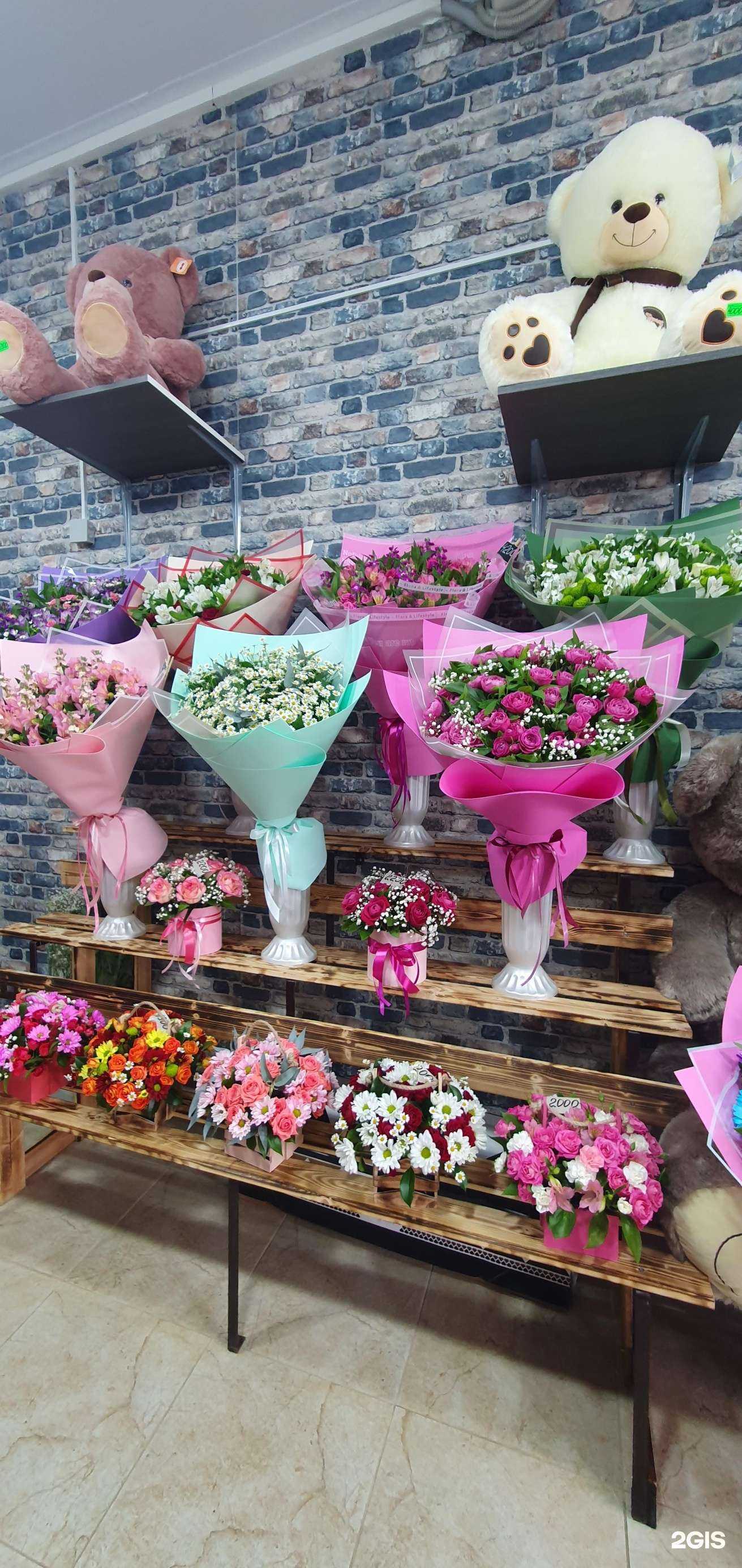 Отзывы на компанию Дикая роза в г. Краснодар c фото