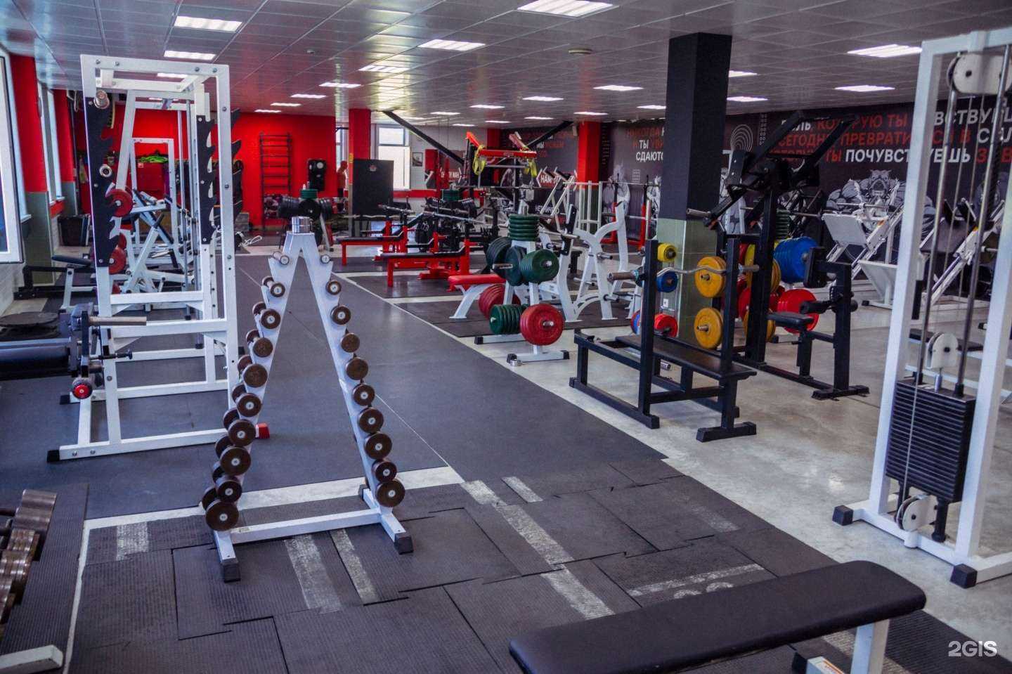 Отзывы на компанию Новоспорт в г. Новосибирск c фото