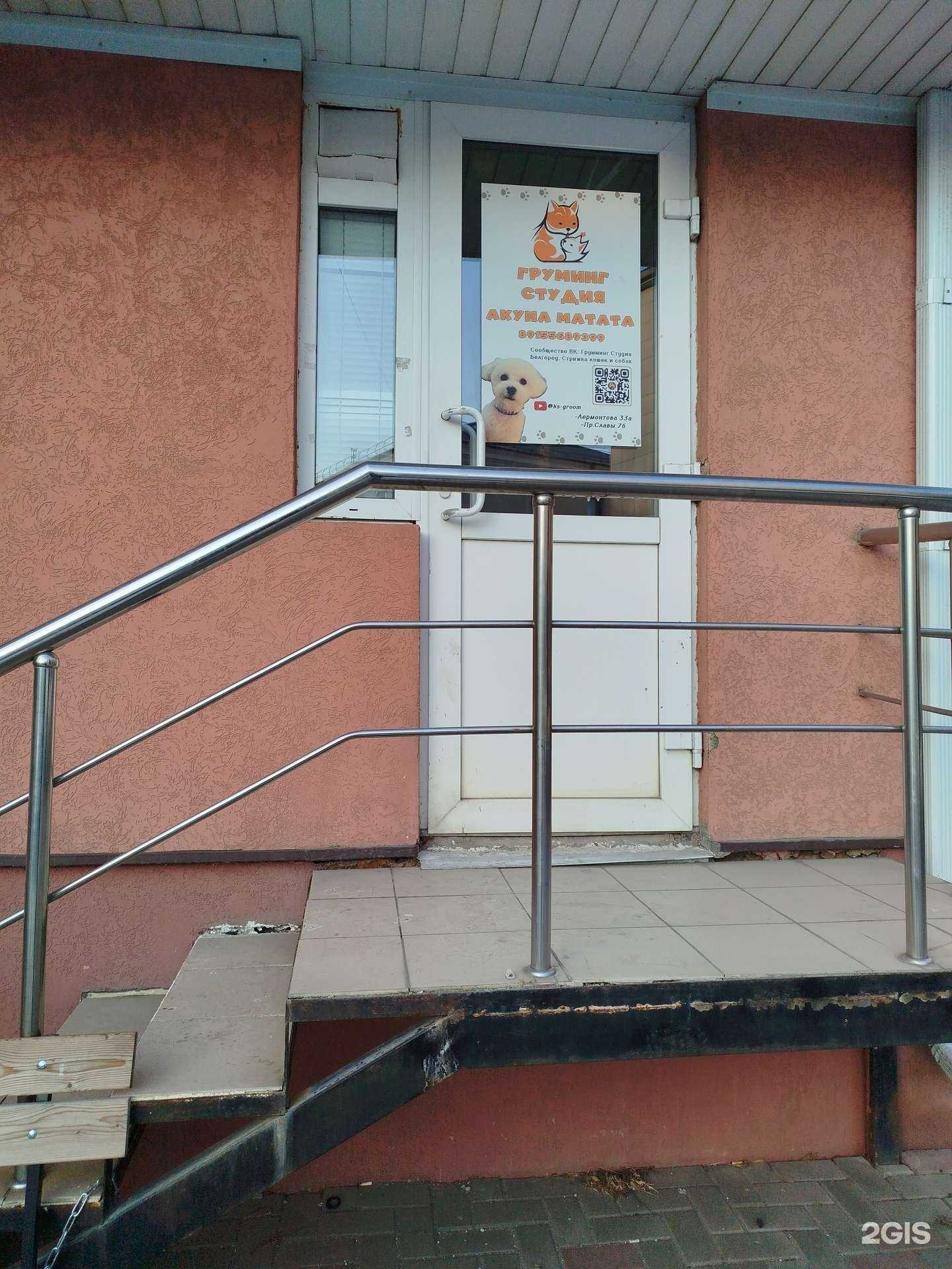 Отзывы на компанию Акуна Матата в Белгороде c фото